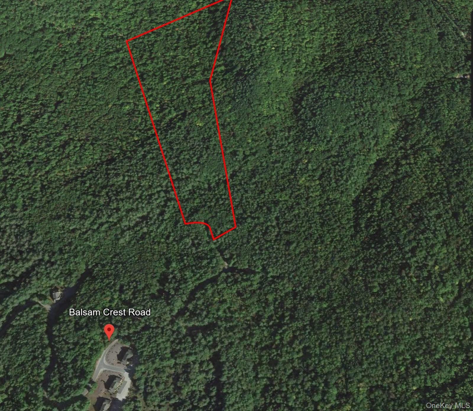 L173 Balsam Crest Road Chestertown, NY 12817 - Photo 4 of 5