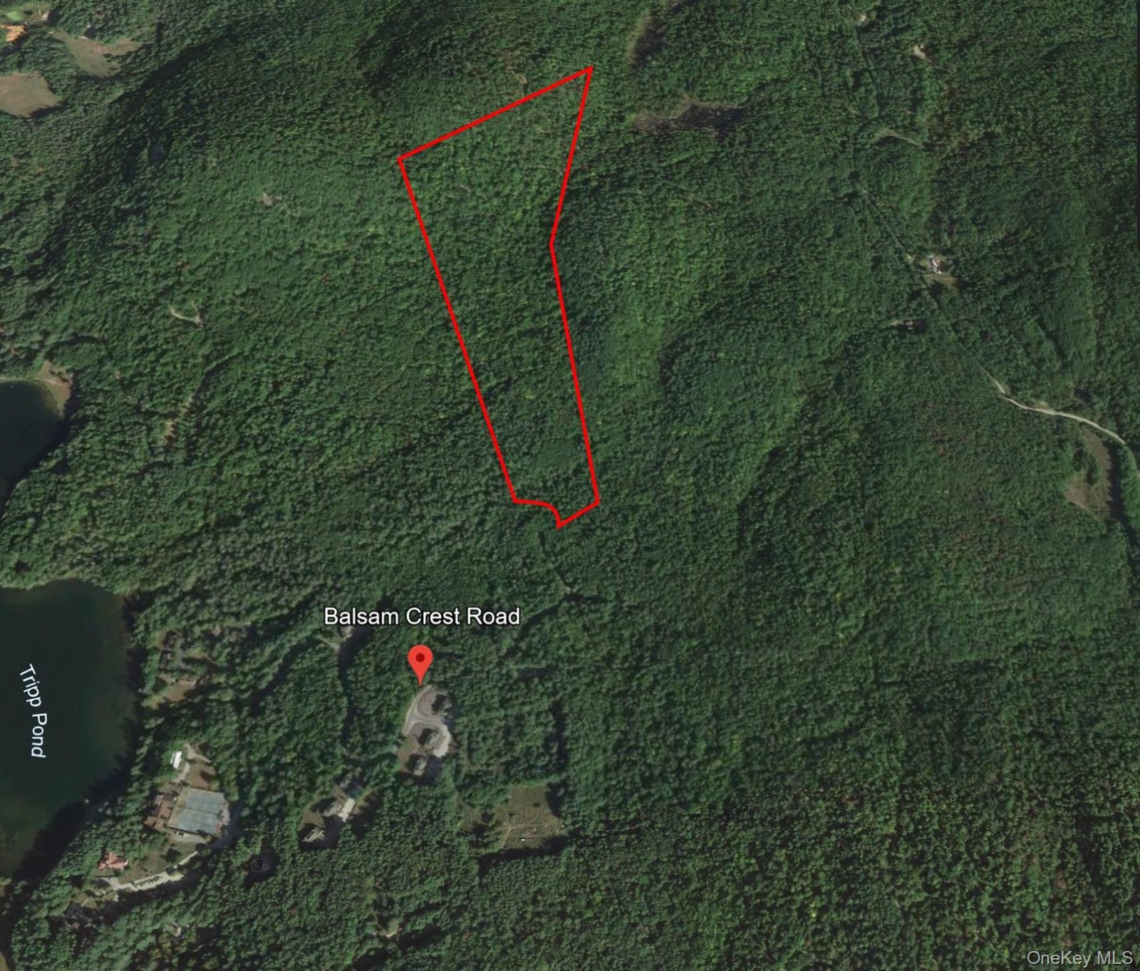 L173 Balsam Crest Road Chestertown, NY 12817 - Photo 5 of 5