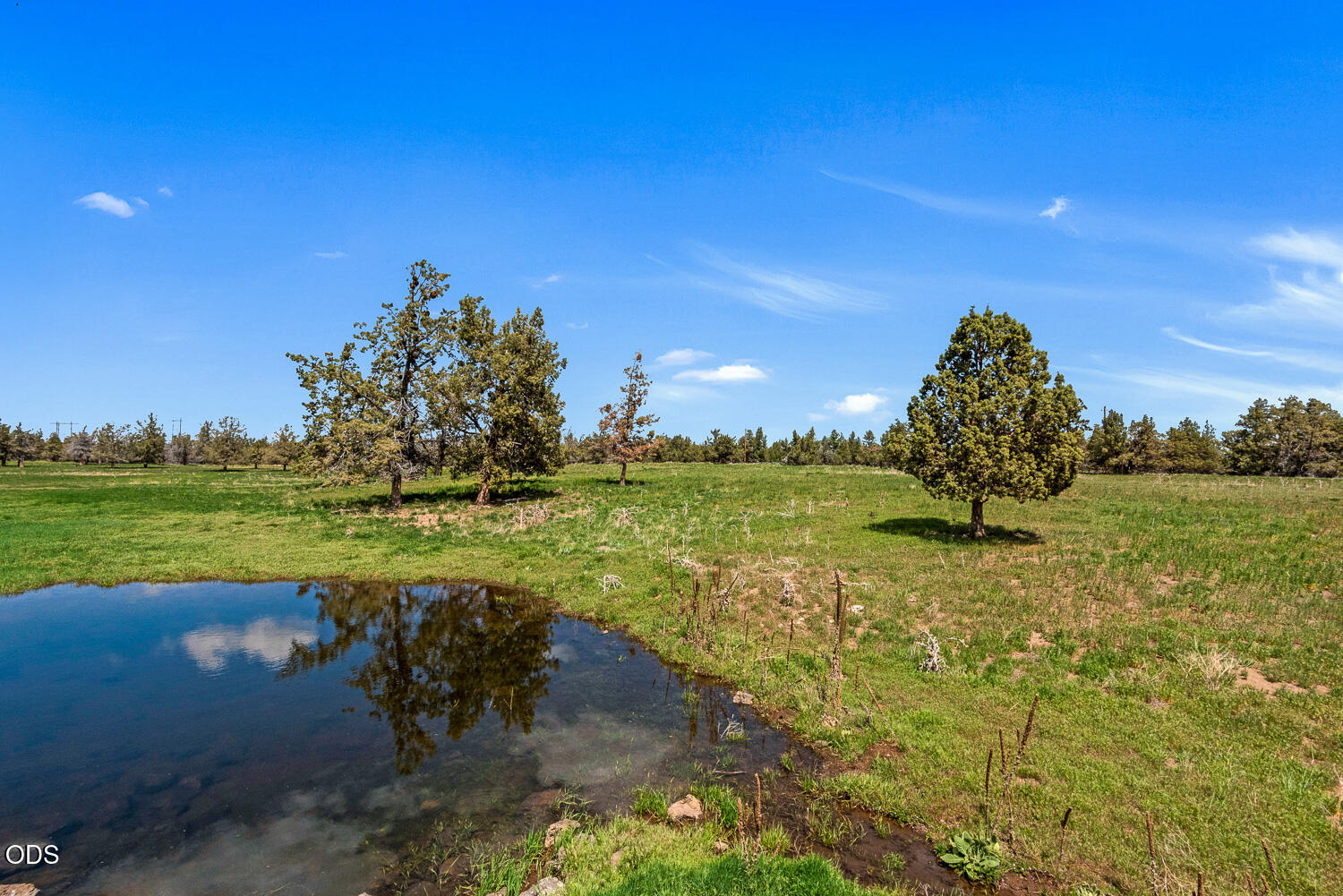 63510 Gentry Loop Bend, OR 97701 - Photo 36 of 40