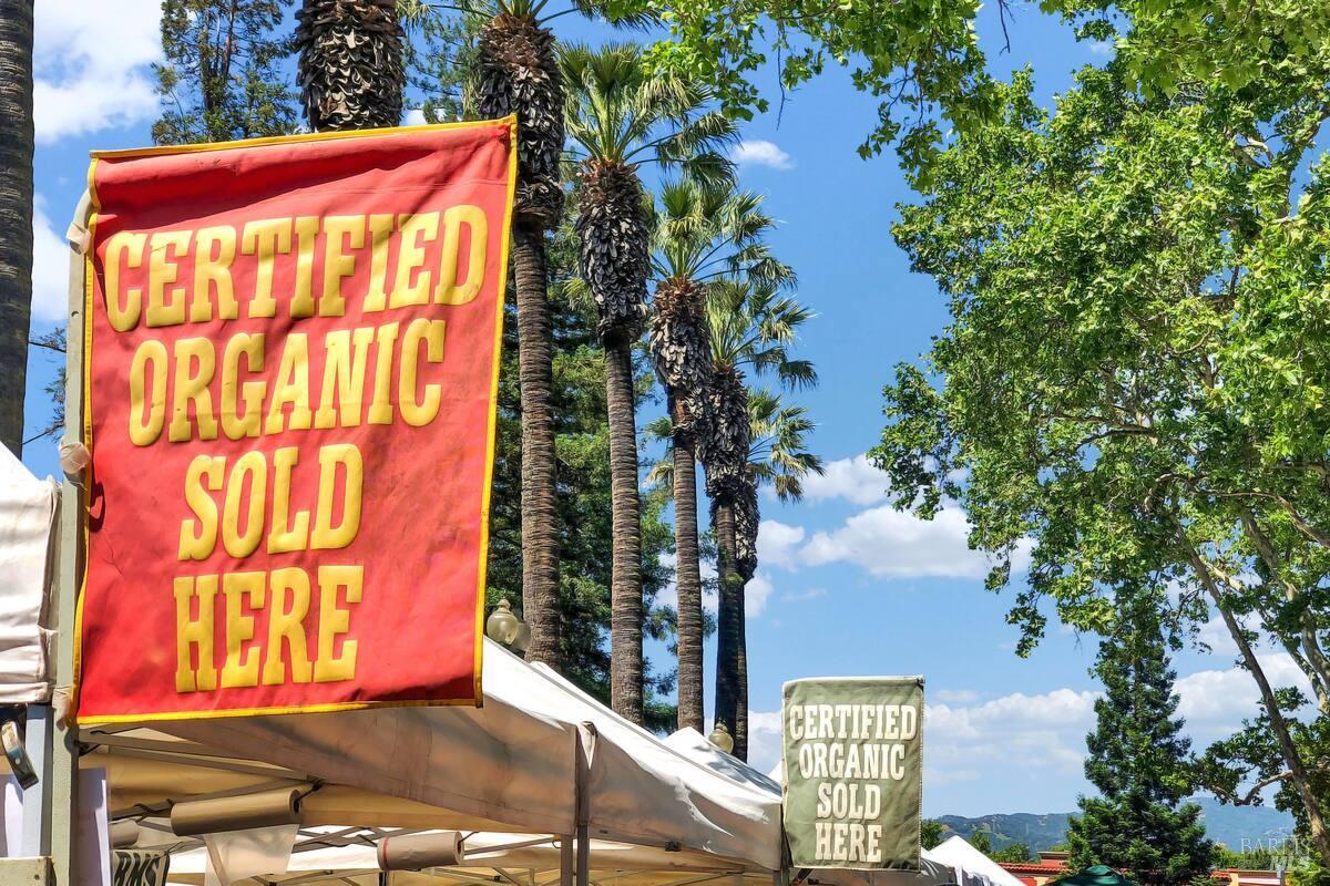 528 Main Street Vacaville, CA 95688 - Photo 29 of 32