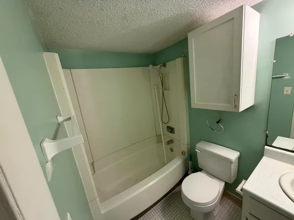 a white toilet sitting next to a bath tub