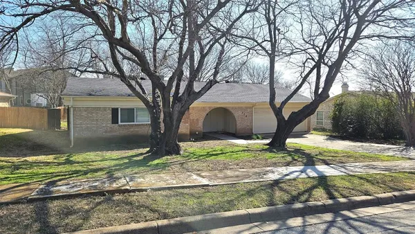 a view of a yard with large tree