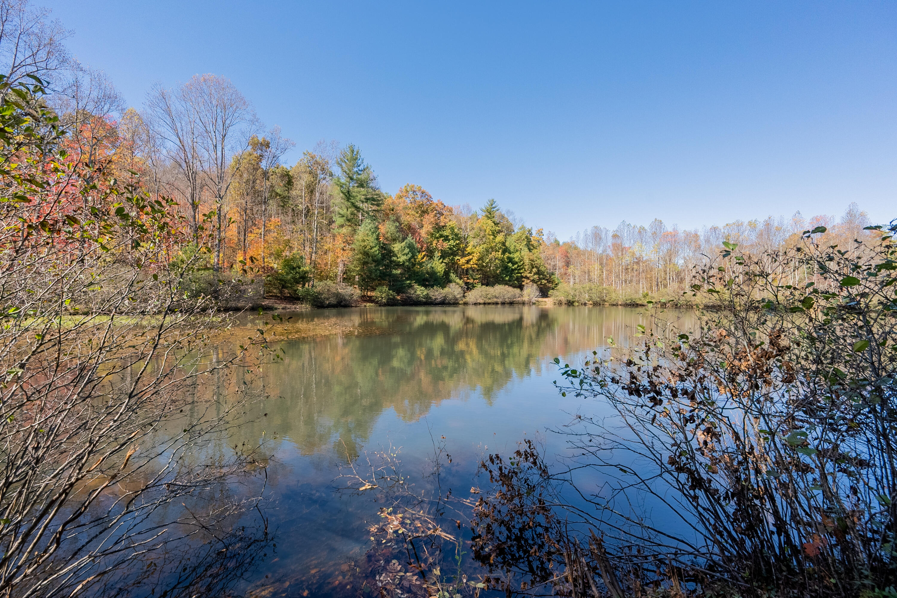 254 Dusty Mile Road Northwest Willis, VA 24380 - Photo 118 of 122 exteriors-30
