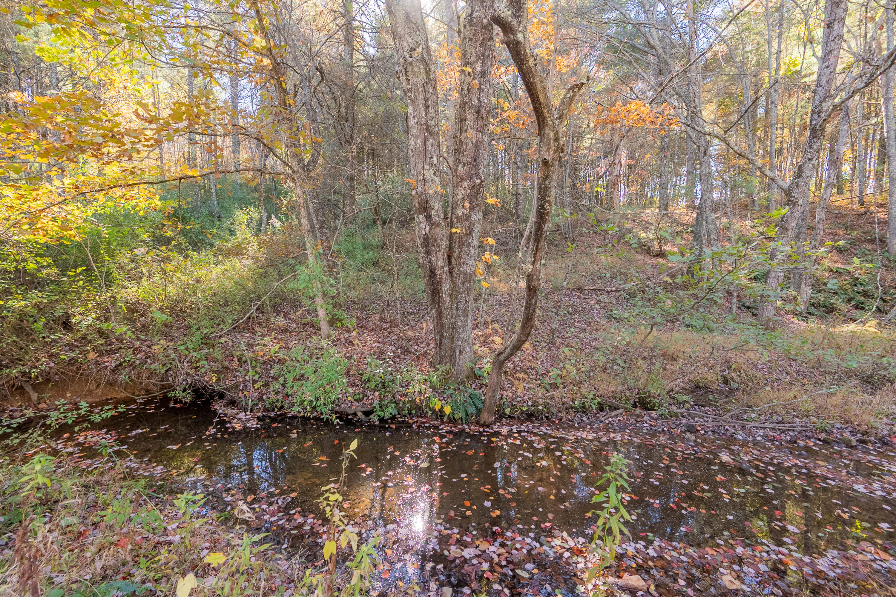 254 Dusty Mile Road Northwest Willis, VA 24380 - Photo 122 of 122 exteriors-135