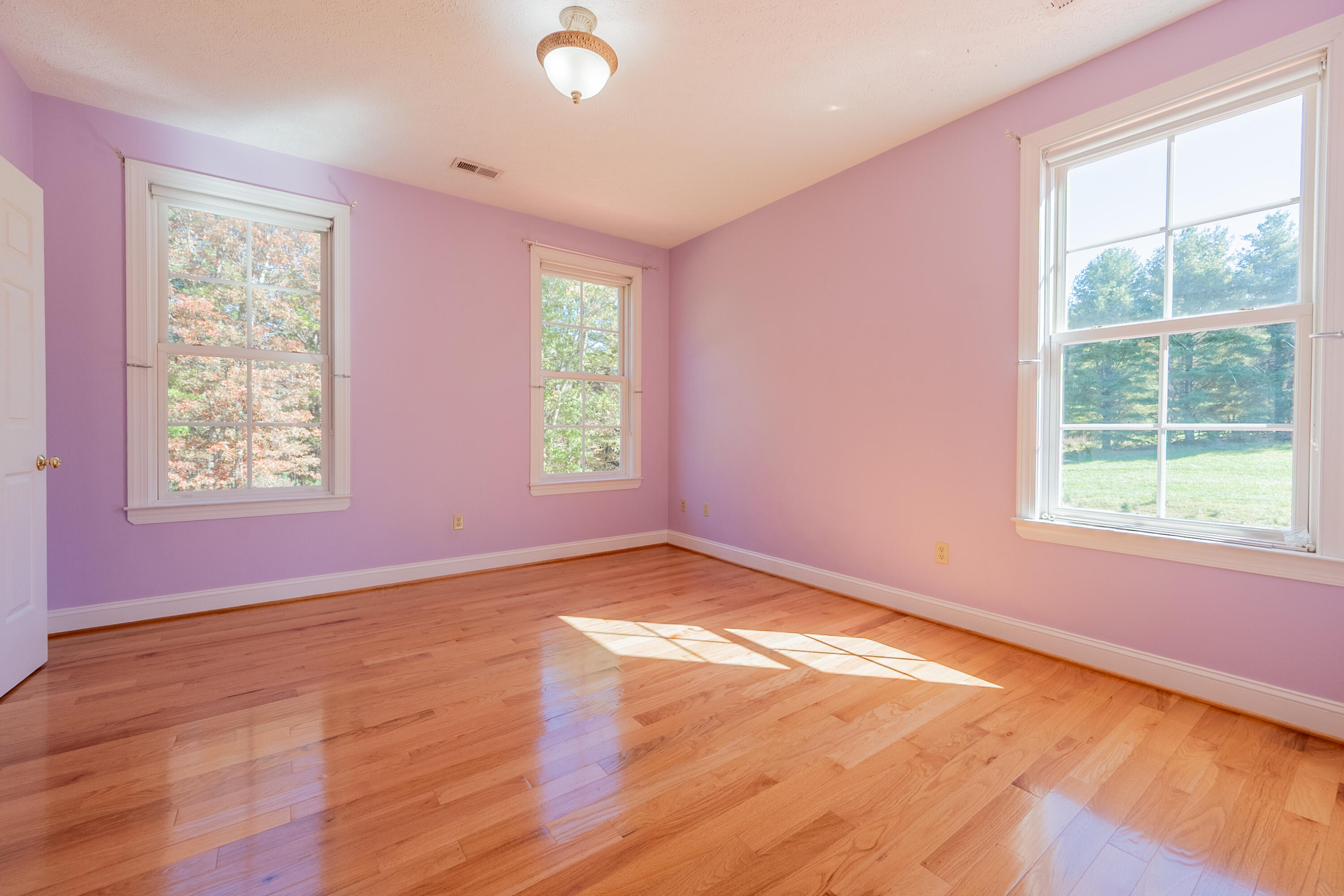 254 Dusty Mile Road Northwest Willis, VA 24380 - Photo 75 of 122 an empty room with wooden floor and windows