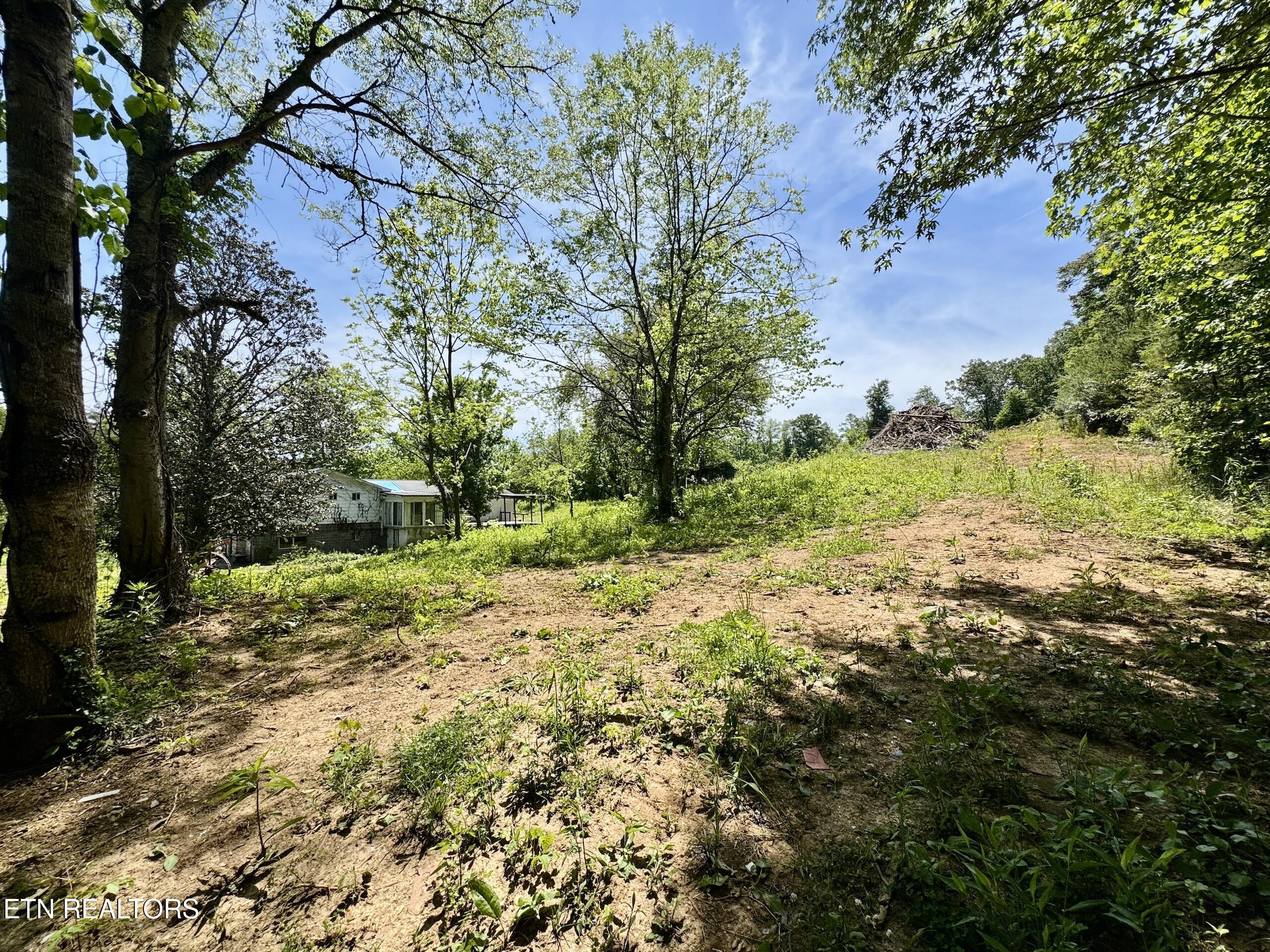 132 Lanes Bluff Road Clinton, TN 37716 - Photo 15 of 48 1-15