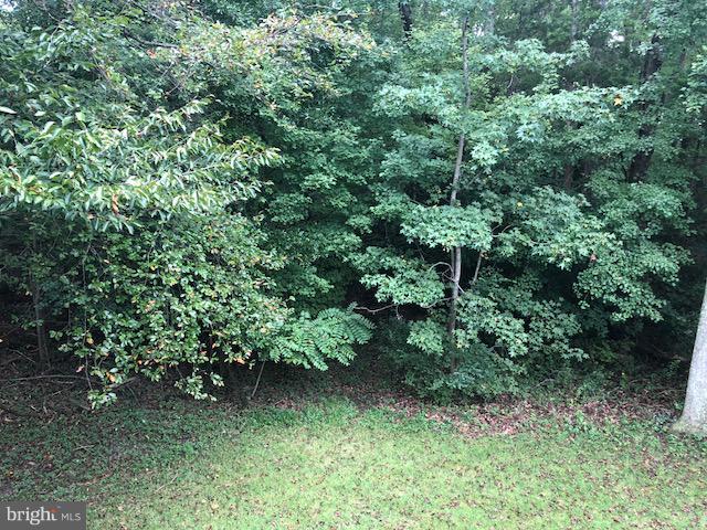 16210 Manning Road East Accokeek, MD 20607 - Photo 24 of 26 Exterior (Rear)