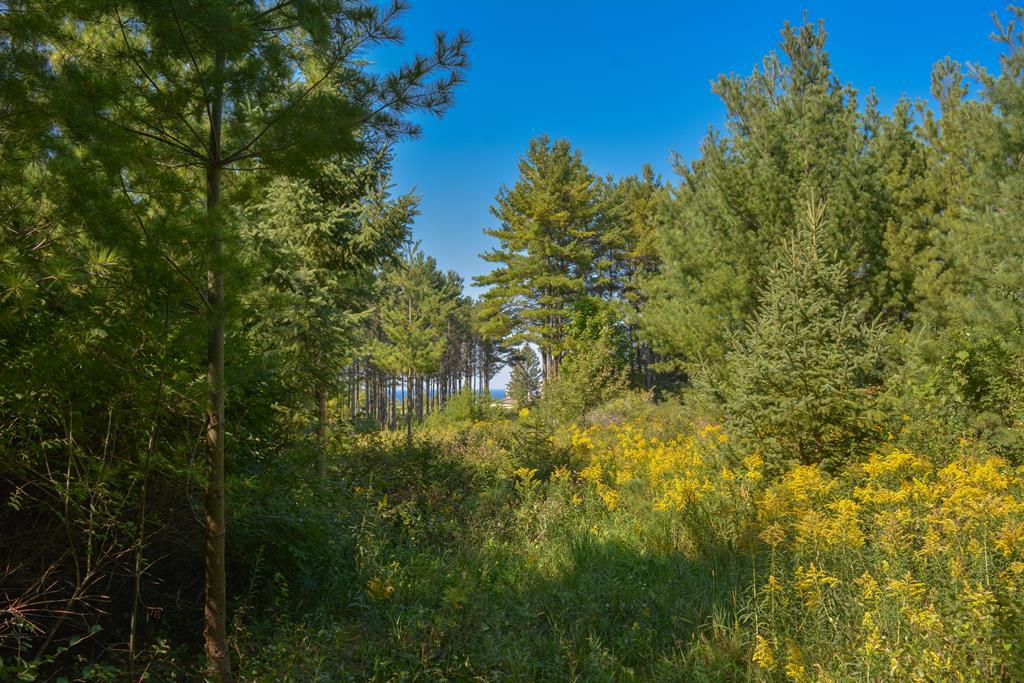 Lot 4 North Cobblestone Road Egg Harbor, WI 54209 - Photo 8 of 11
