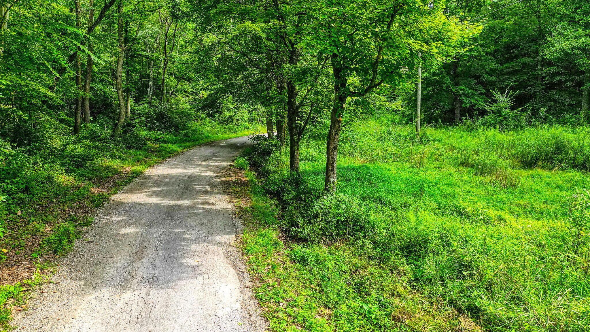 0 Shoemaker Road Latham, OH 45646 - Photo 11 of 17 W Side Shoemaker Road (34)