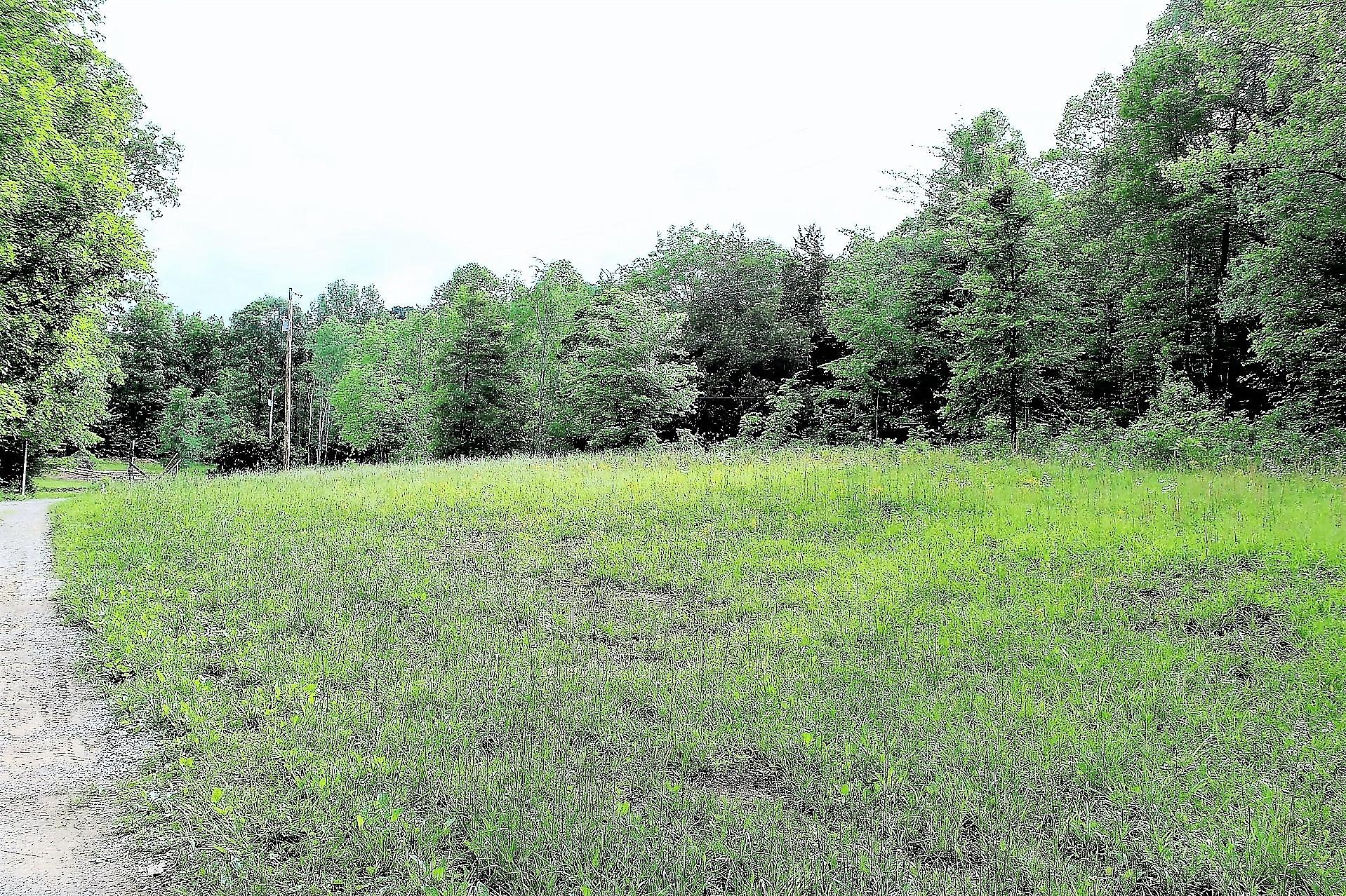 Old Mill Creek Road Monterey, TN 38574 - Photo 1 of 21 1