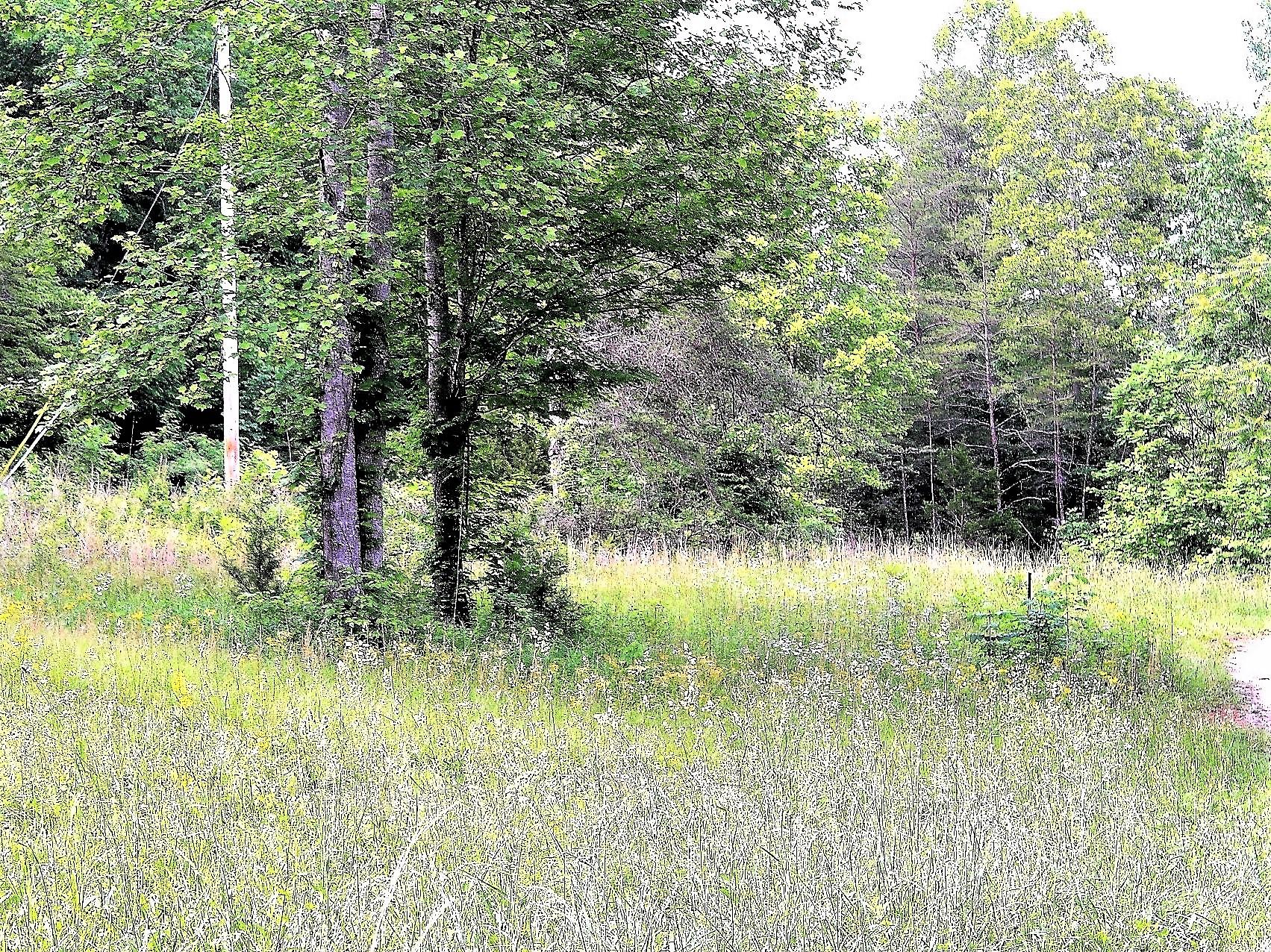 Old Mill Creek Road Monterey, TN 38574 - Photo 2 of 21 2