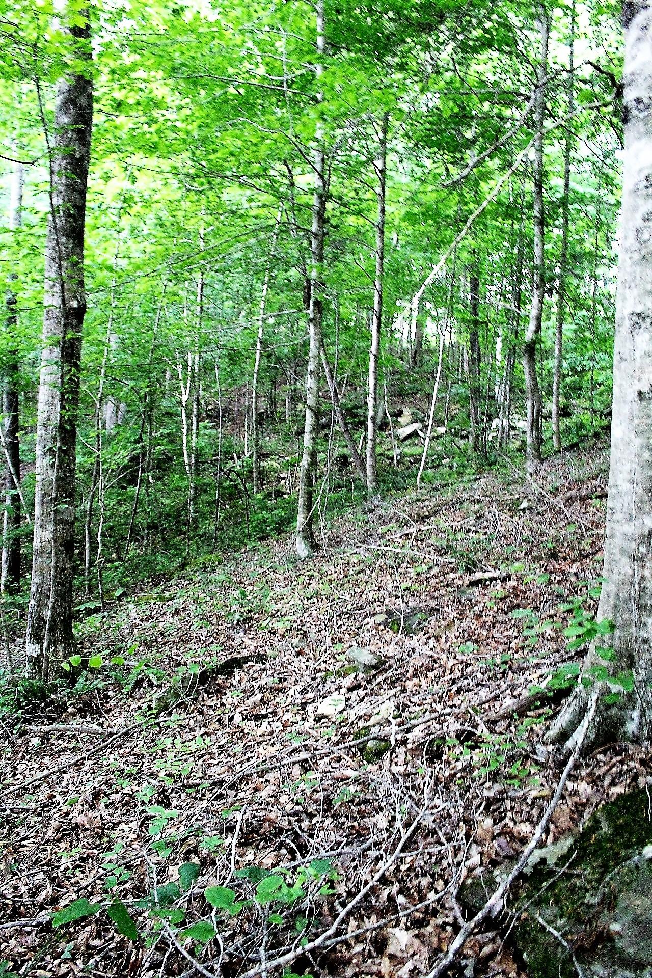 Old Mill Creek Road Monterey, TN 38574 - Photo 12 of 21 12