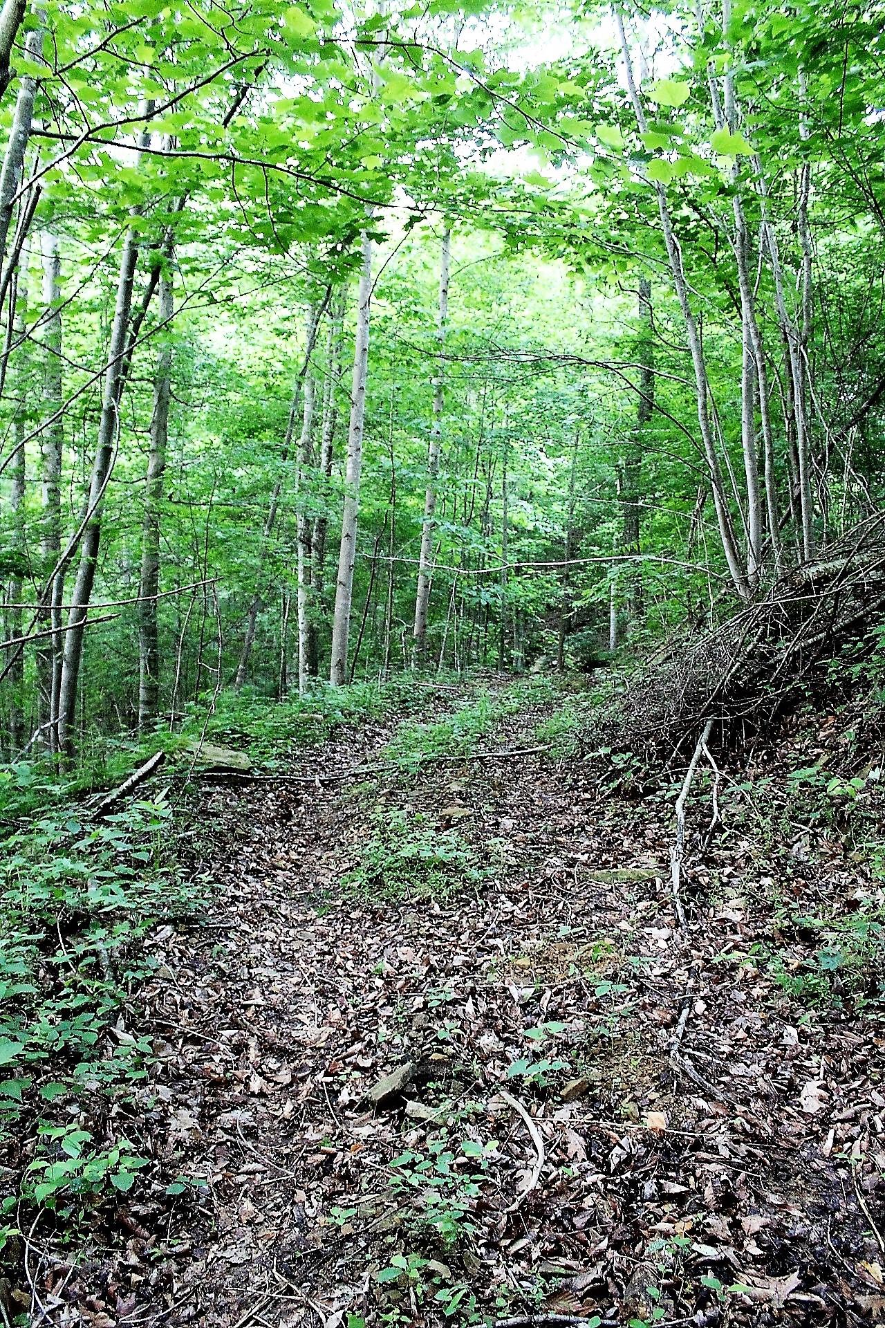 Old Mill Creek Road Monterey, TN 38574 - Photo 13 of 21 13