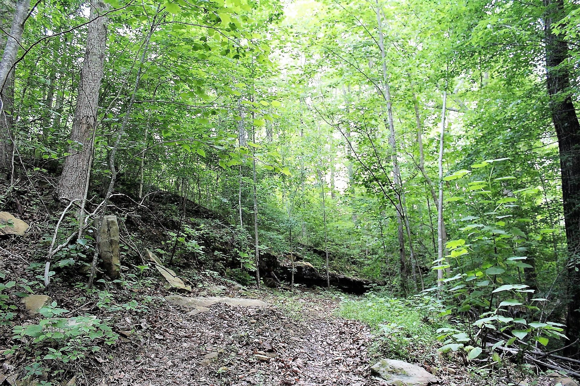 Old Mill Creek Road Monterey, TN 38574 - Photo 15 of 21 15