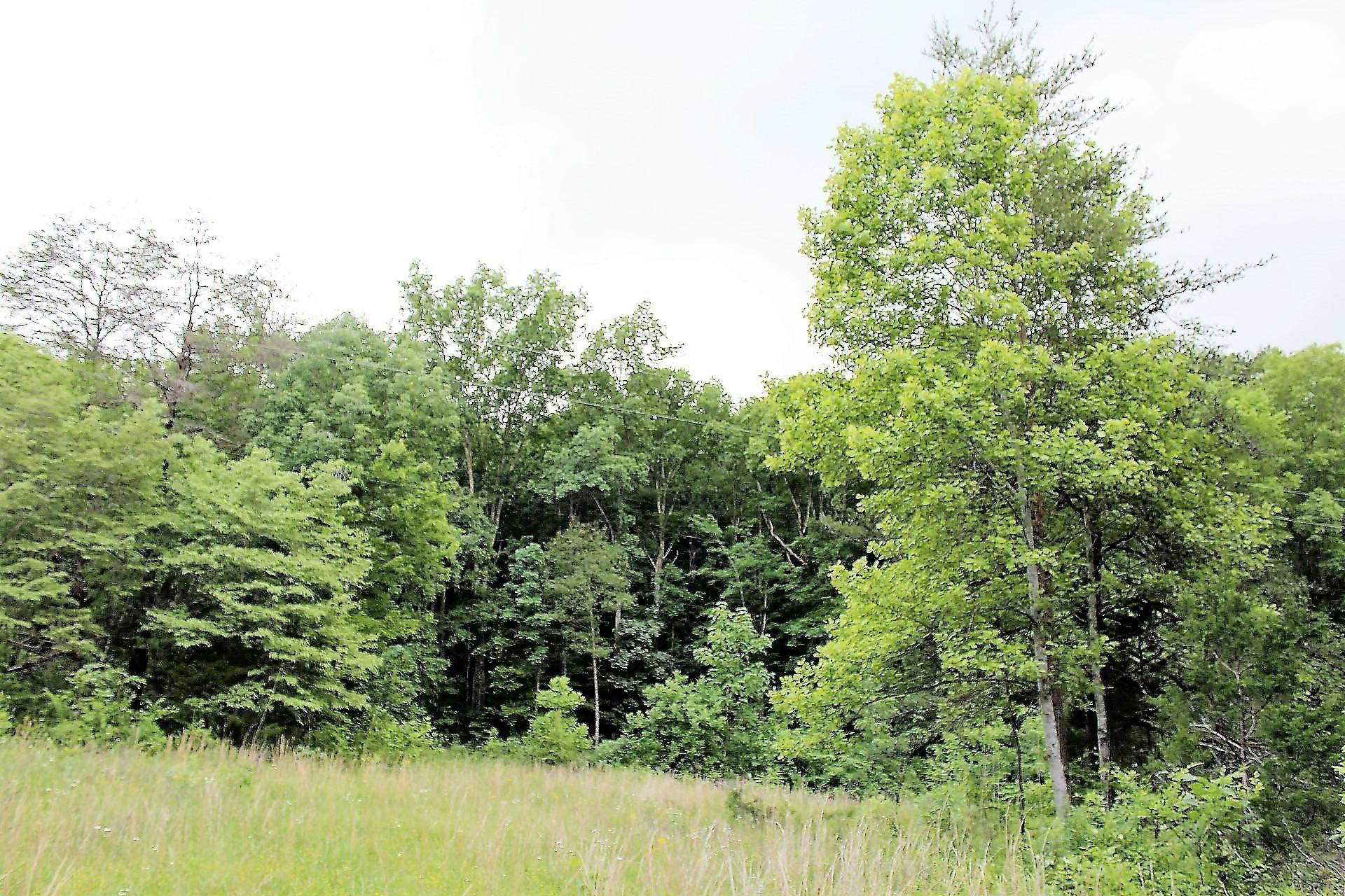 Old Mill Creek Road Monterey, TN 38574 - Photo 19 of 21 19