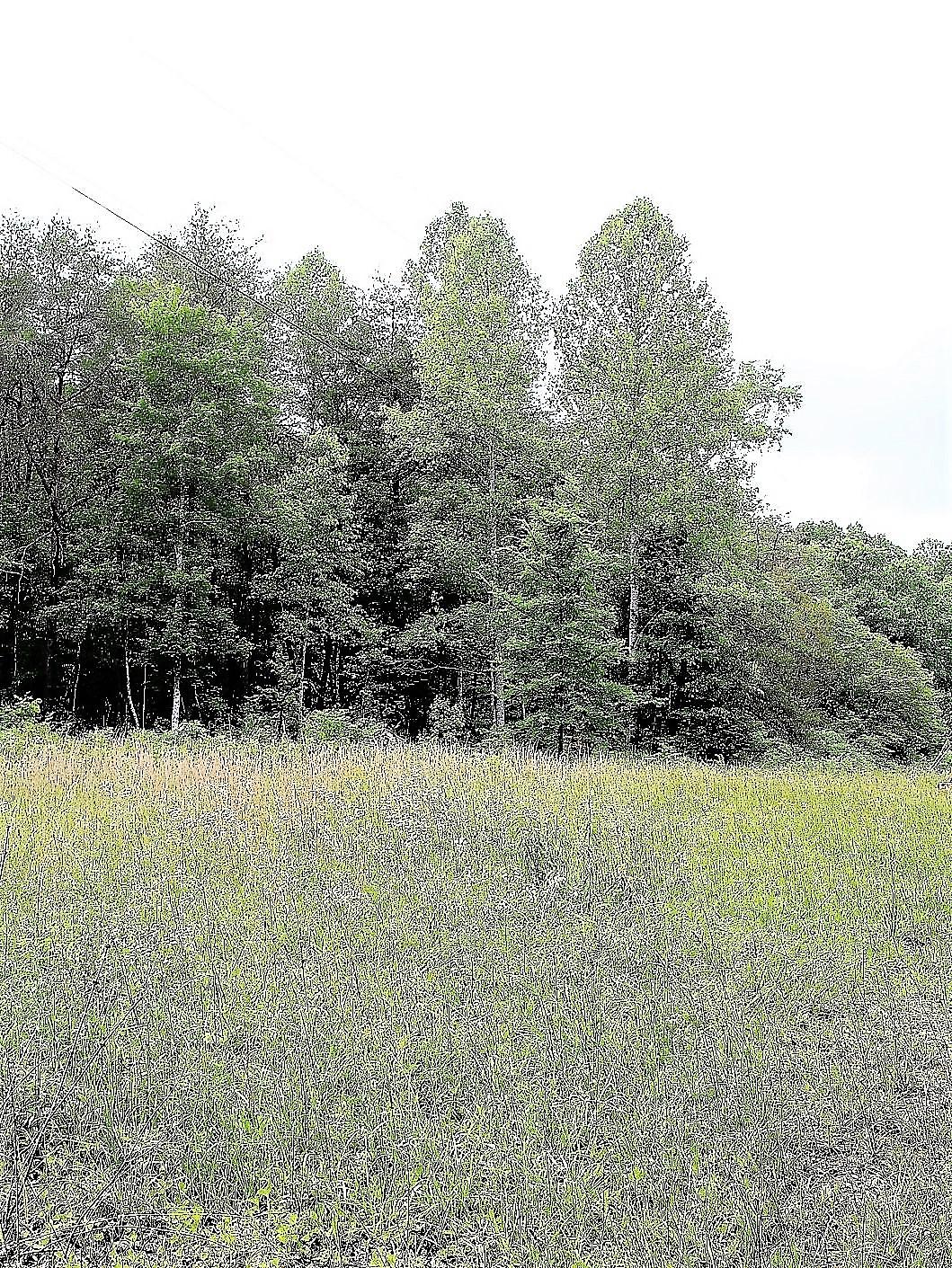 Old Mill Creek Road Monterey, TN 38574 - Photo 3 of 21 3