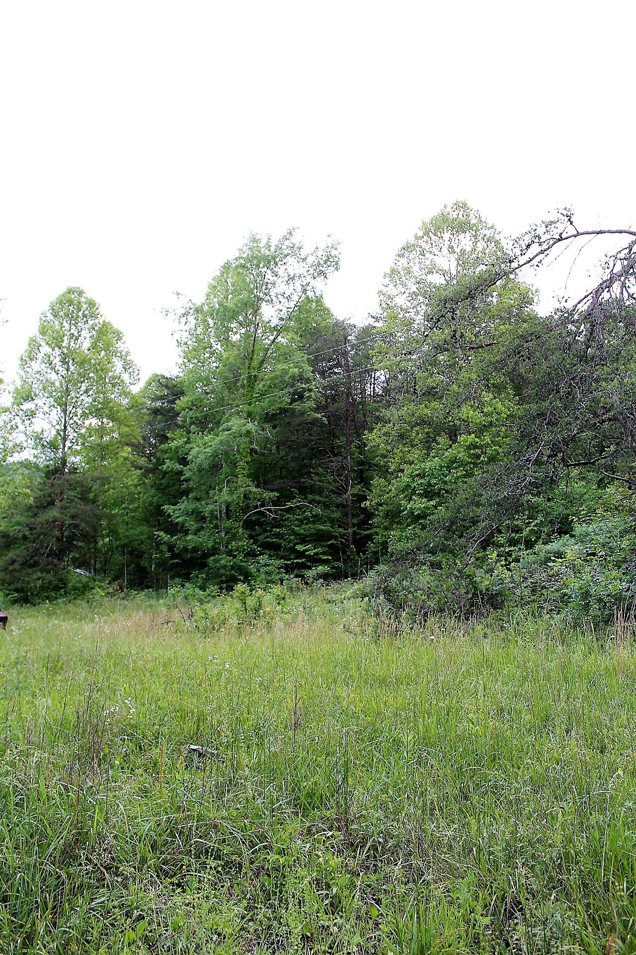 Old Mill Creek Road Monterey, TN 38574 - Photo 21 of 21 21