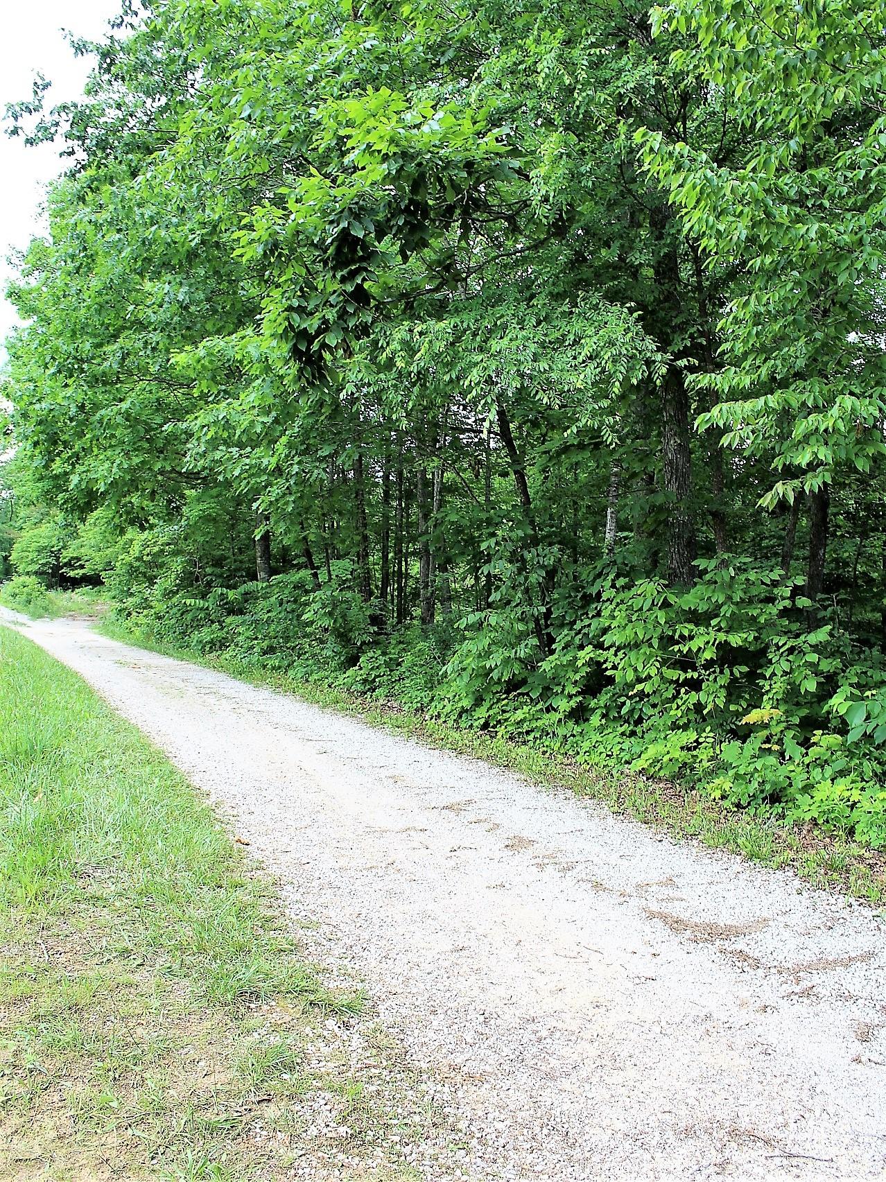 Old Mill Creek Road Monterey, TN 38574 - Photo 4 of 21 4