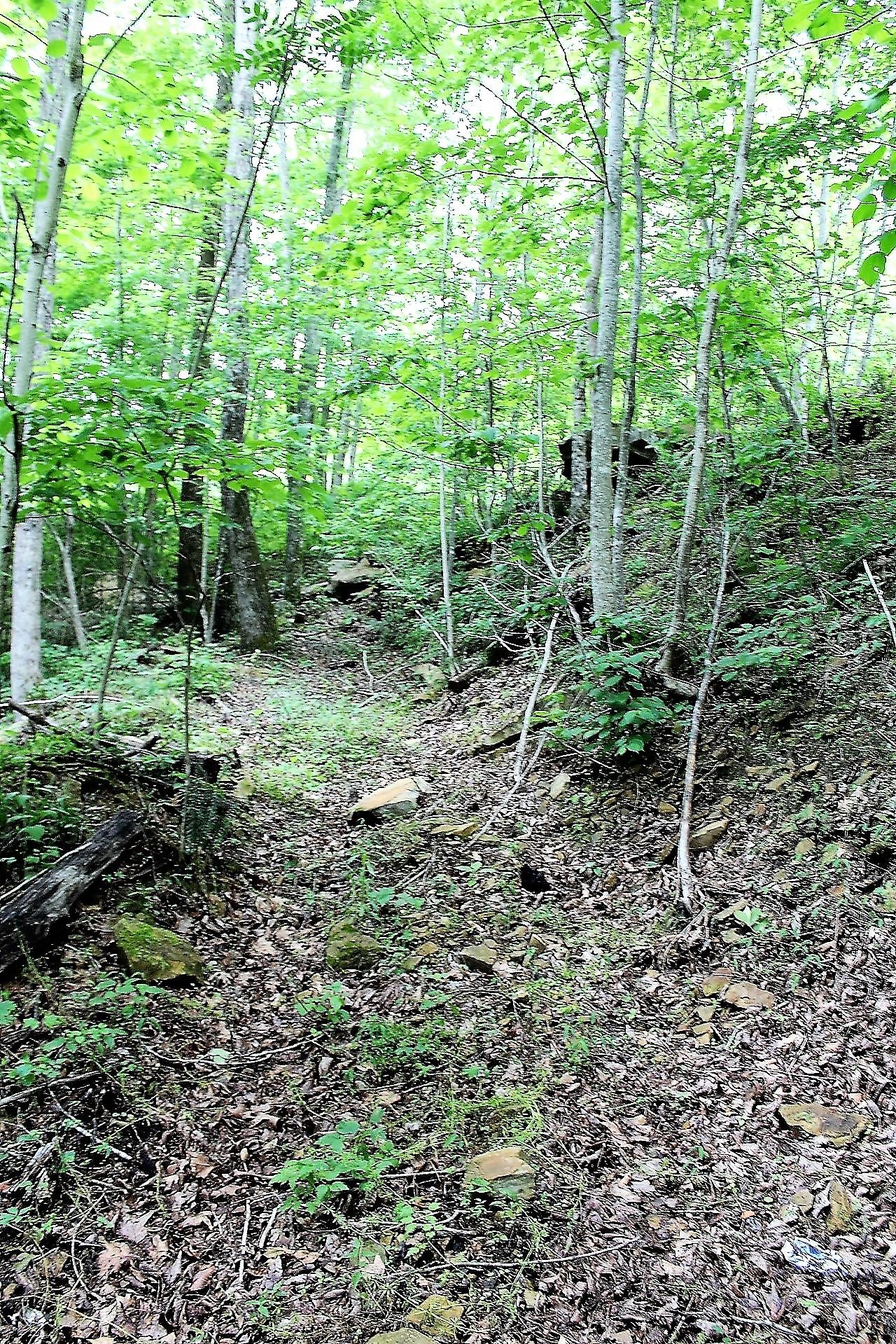 Old Mill Creek Road Monterey, TN 38574 - Photo 7 of 21 7