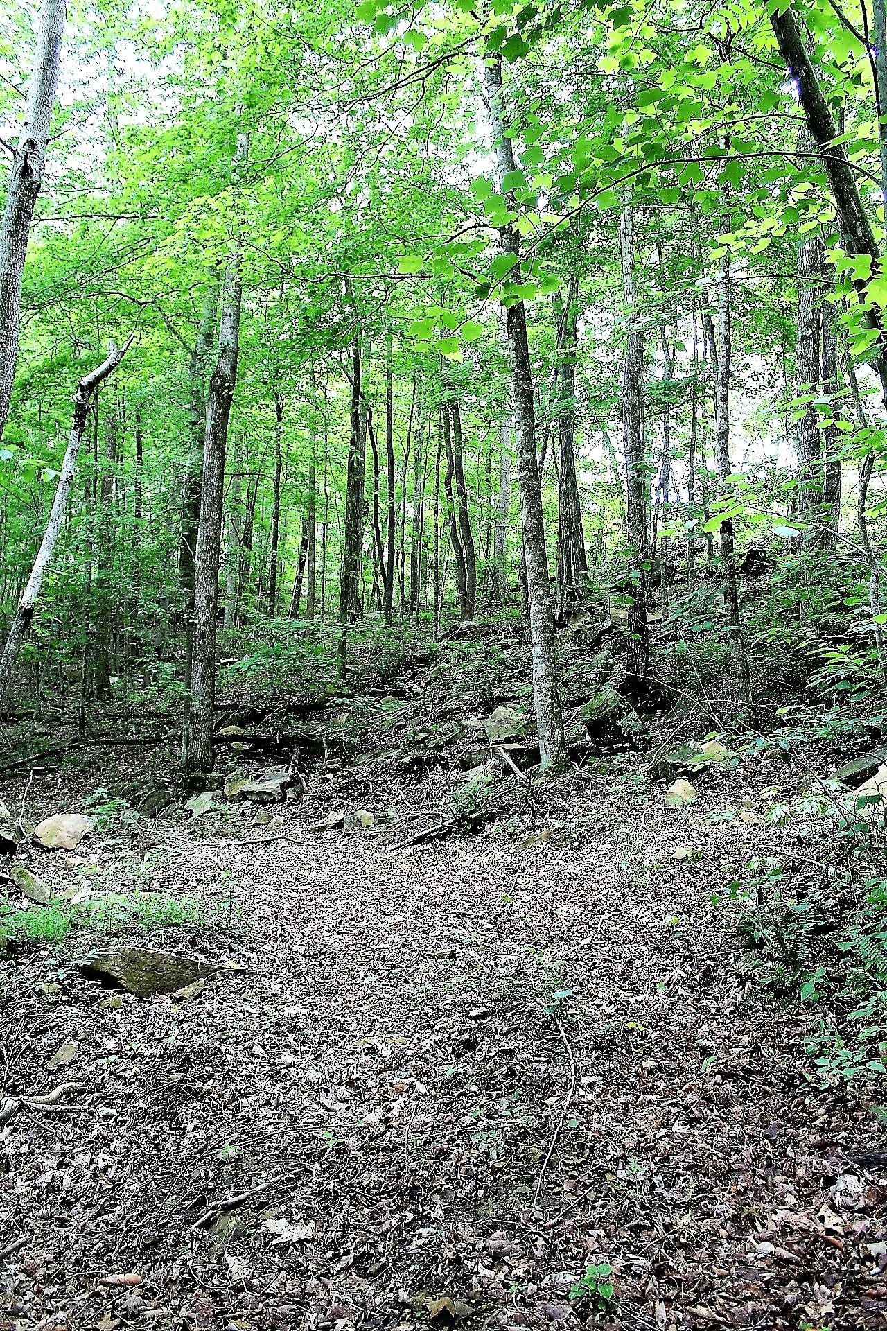 Old Mill Creek Road Monterey, TN 38574 - Photo 8 of 21 8