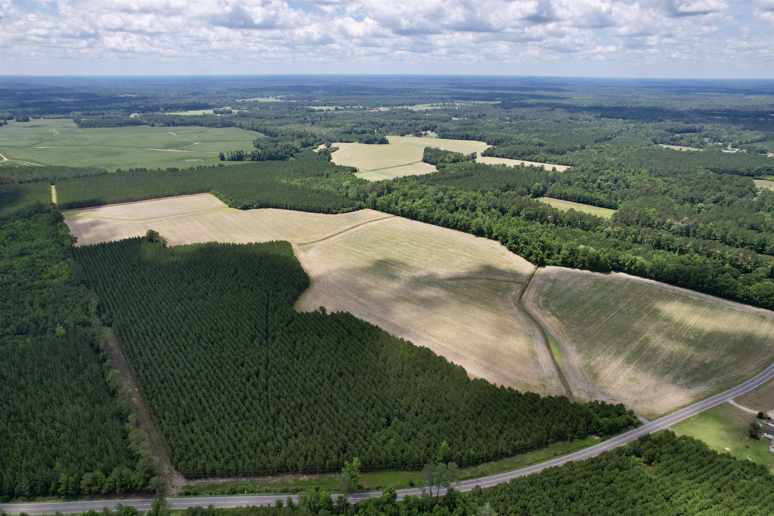 83.03-acres - Birch Creek Road Andrews, SC 29510 - Photo 14 of 25