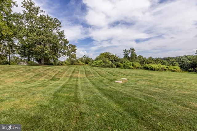 a view of a field with an ocean