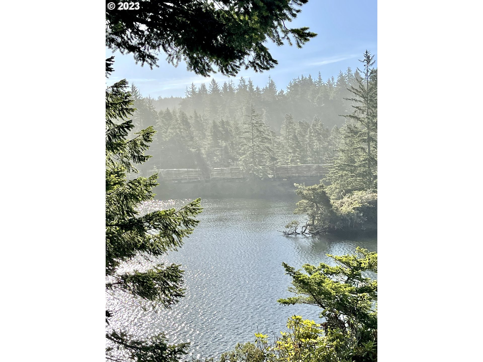 0 Clear Lake North Bend, OR 97459 - Photo 12 of 41 a picture of a flower in a garden