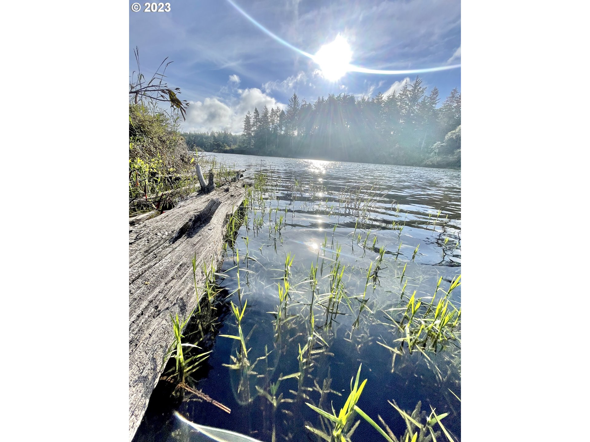 0 Clear Lake North Bend, OR 97459 - Photo 14 of 41