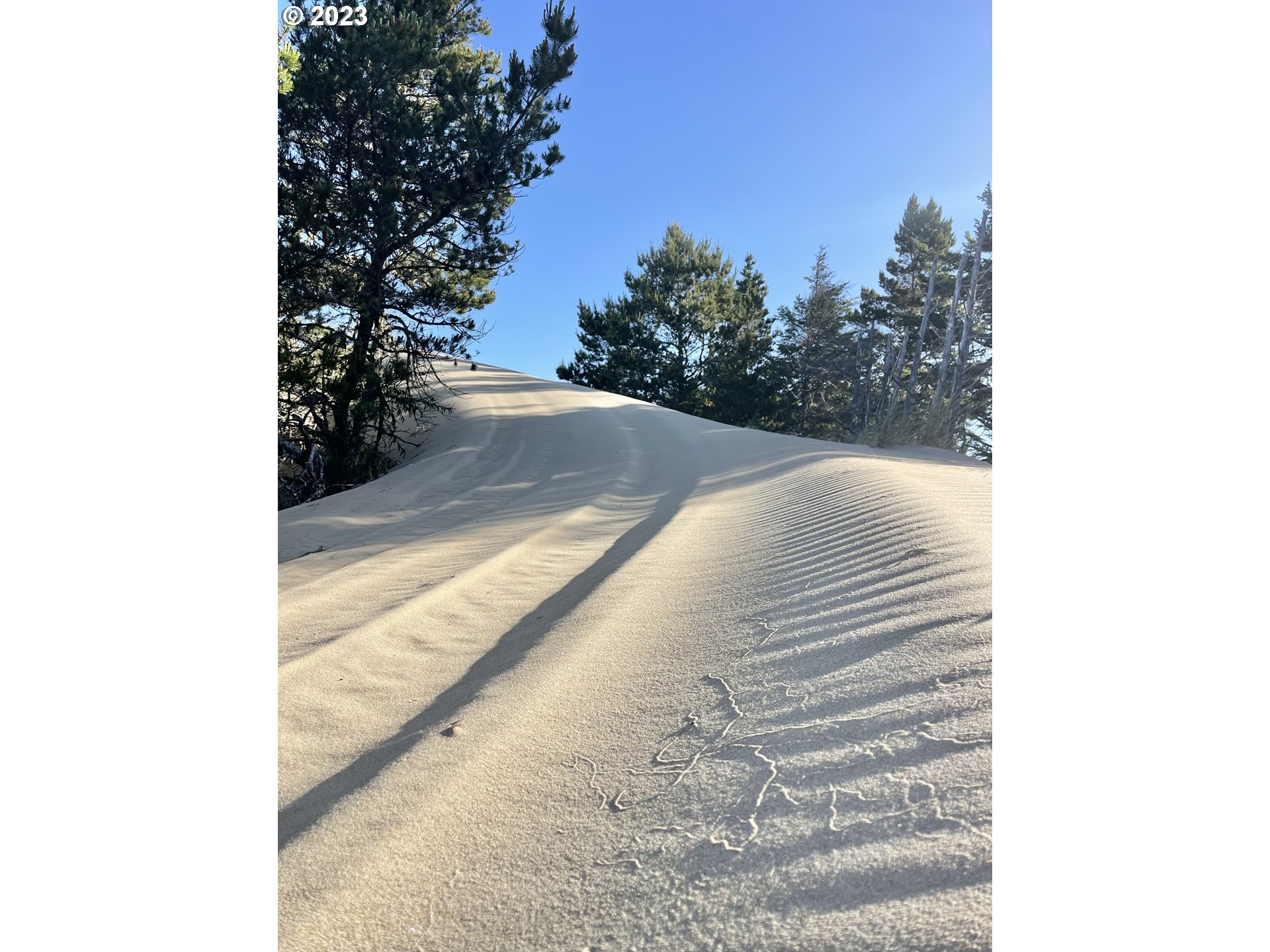 0 Clear Lake North Bend, OR 97459 - Photo 17 of 41 a view of a small yard