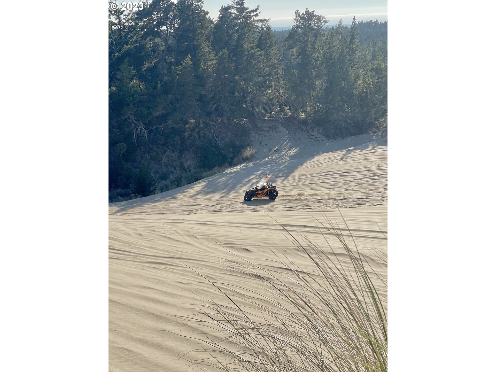 0 Clear Lake North Bend, OR 97459 - Photo 2 of 41 a view of a small space