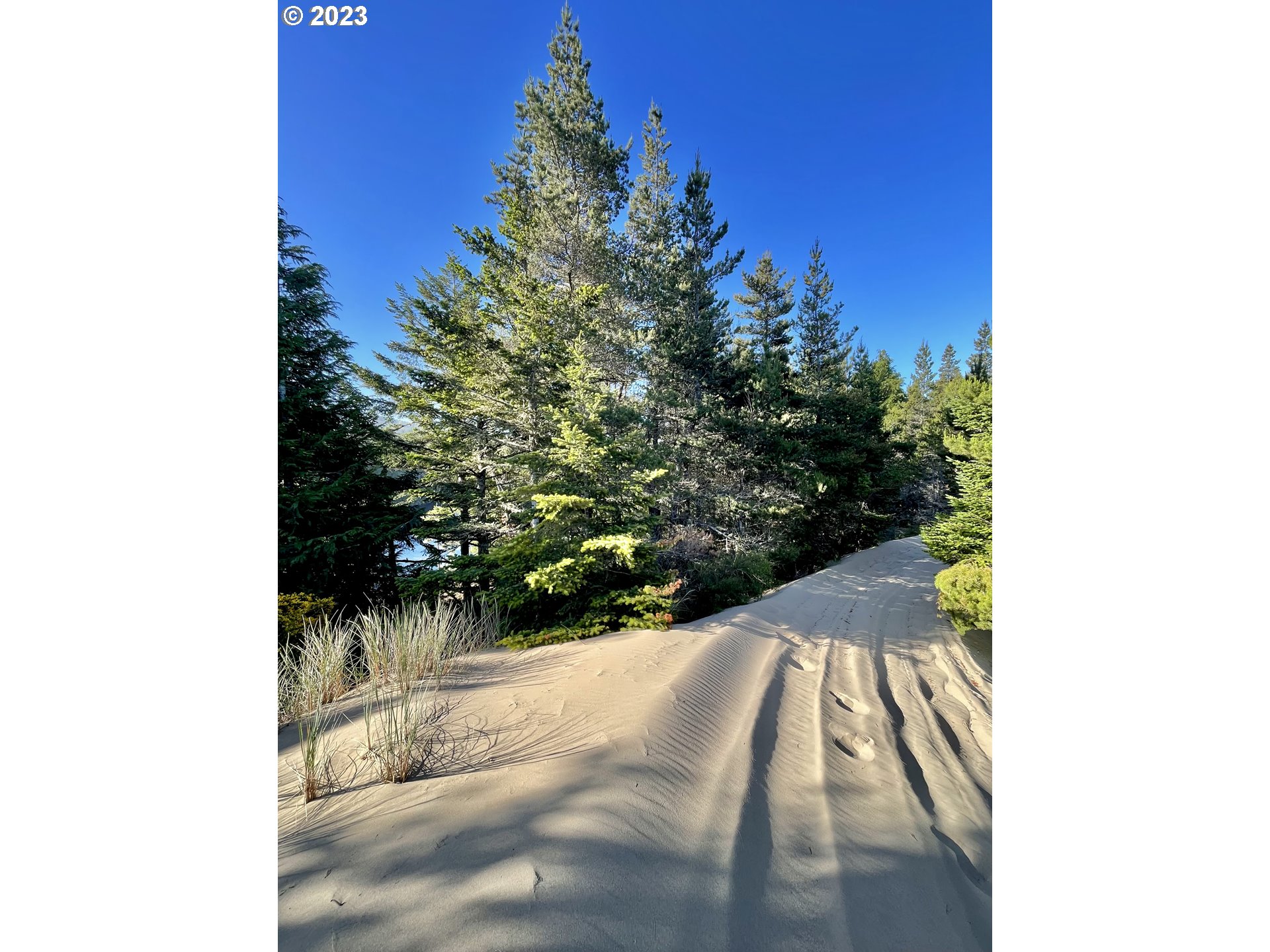 0 Clear Lake North Bend, OR 97459 - Photo 22 of 41 a view of a yard