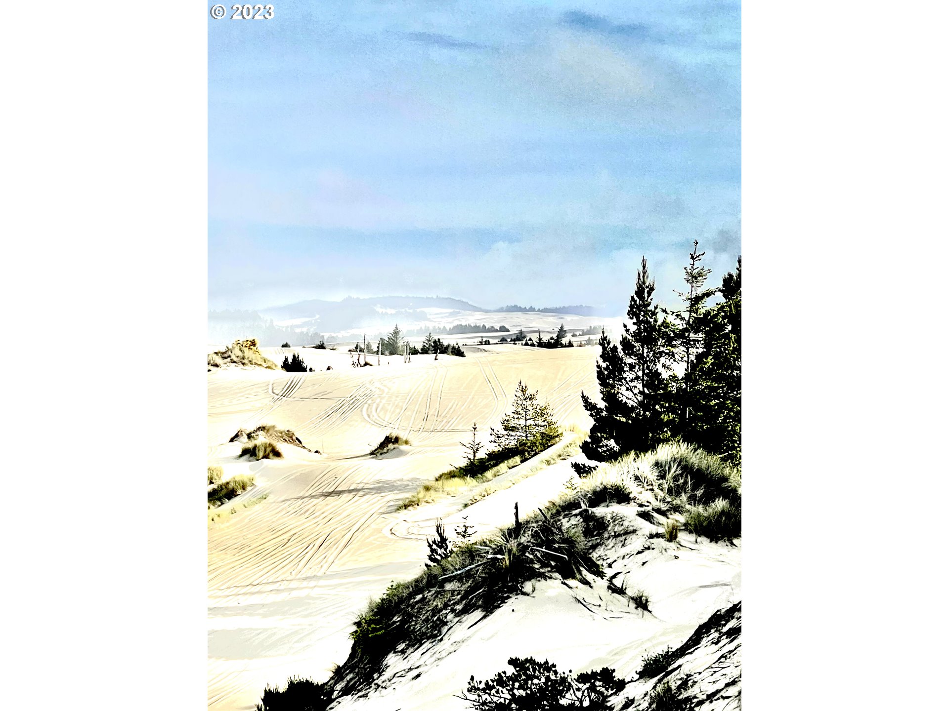 0 Clear Lake North Bend, OR 97459 - Photo 25 of 41