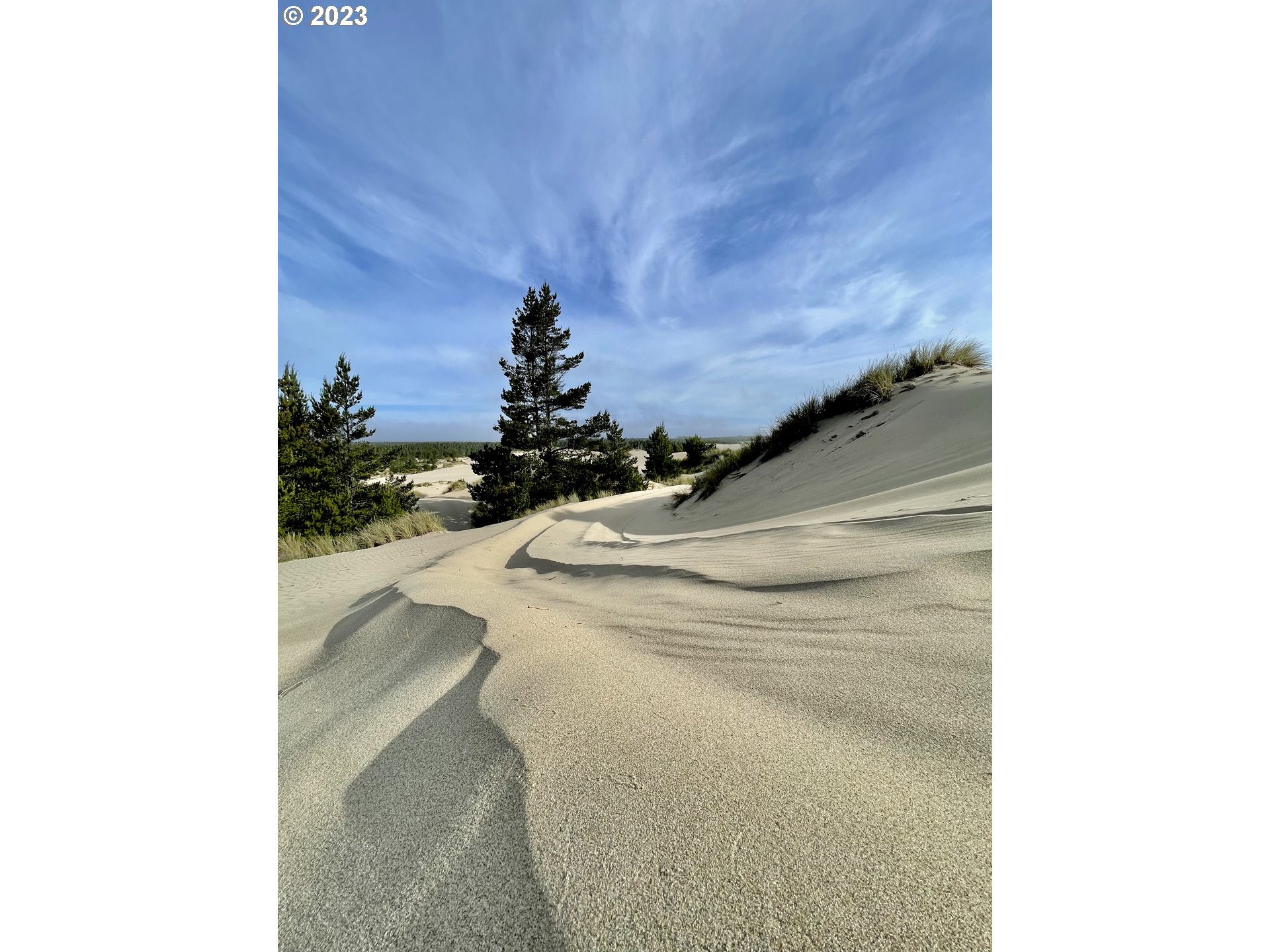 0 Clear Lake North Bend, OR 97459 - Photo 26 of 41 a utility room with a sink