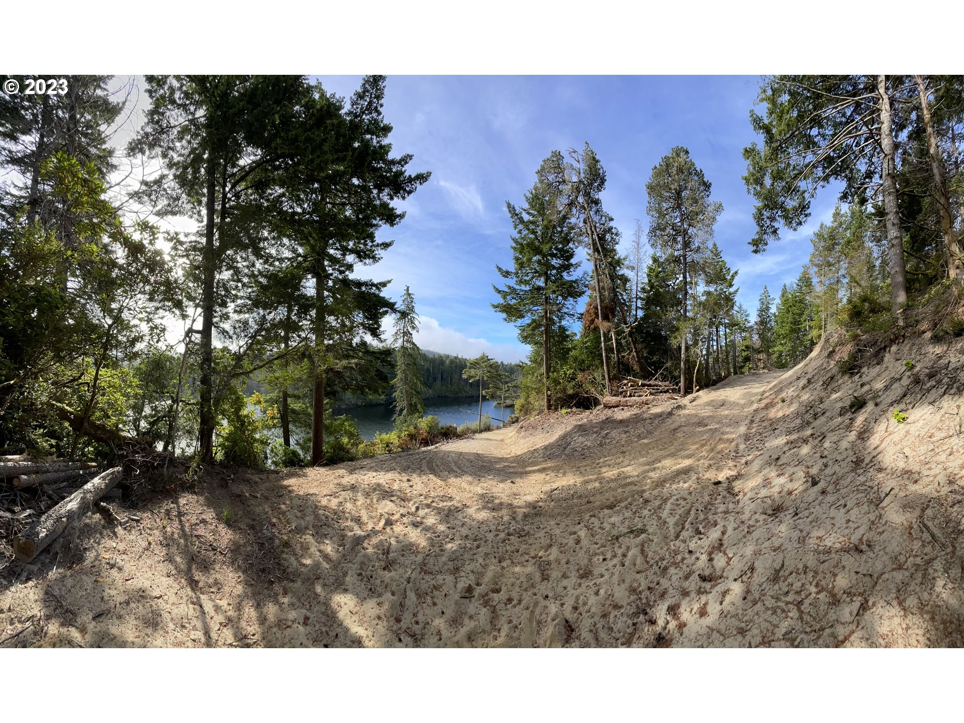 0 Clear Lake North Bend, OR 97459 - Photo 27 of 41 a view of a dry yard with trees in the background