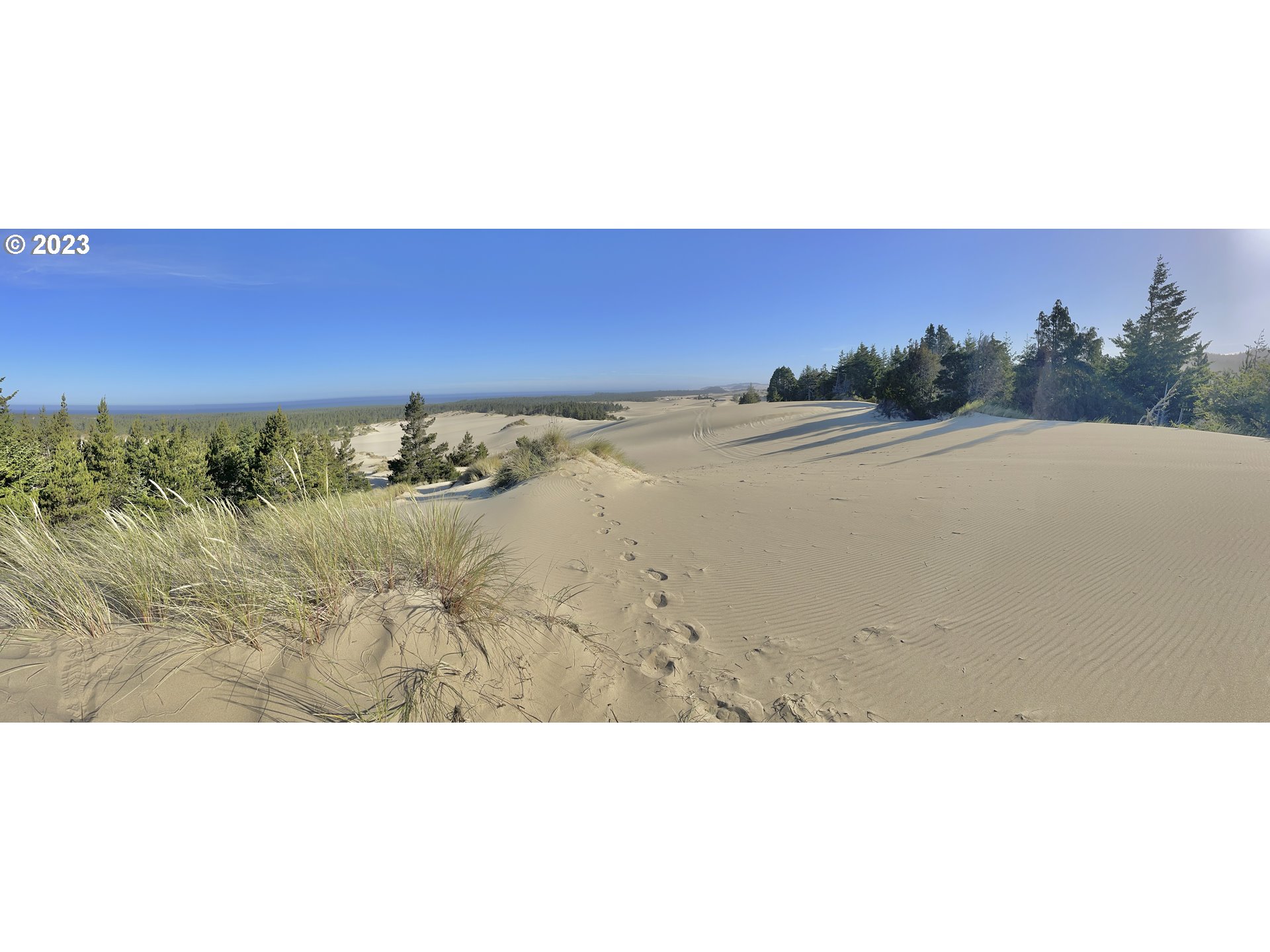 0 Clear Lake North Bend, OR 97459 - Photo 32 of 41 a black and white photo of a field