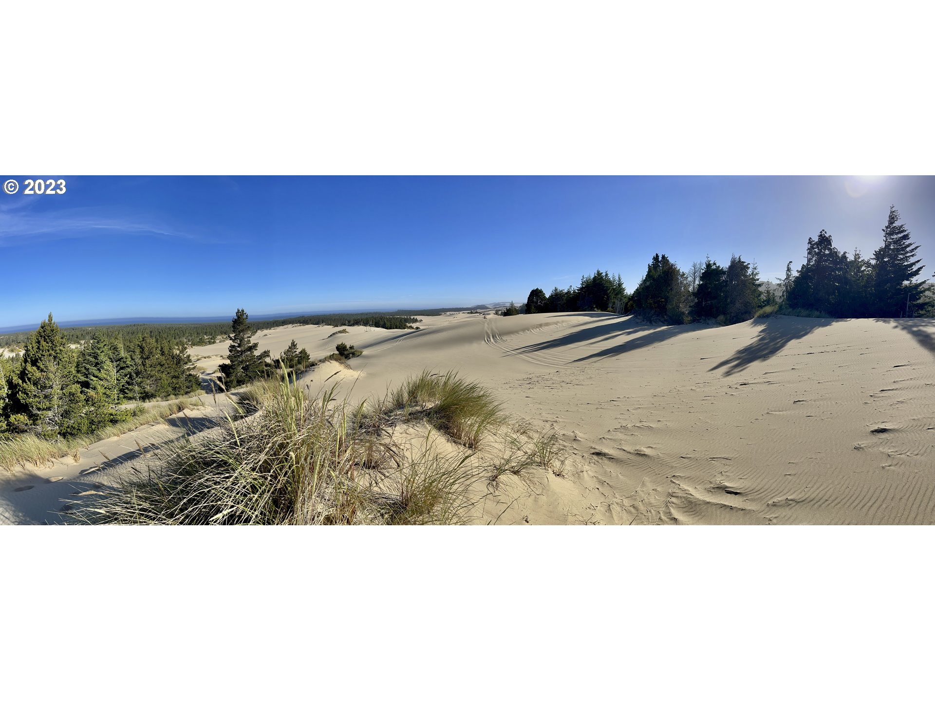 0 Clear Lake North Bend, OR 97459 - Photo 4 of 41 a picture of a park