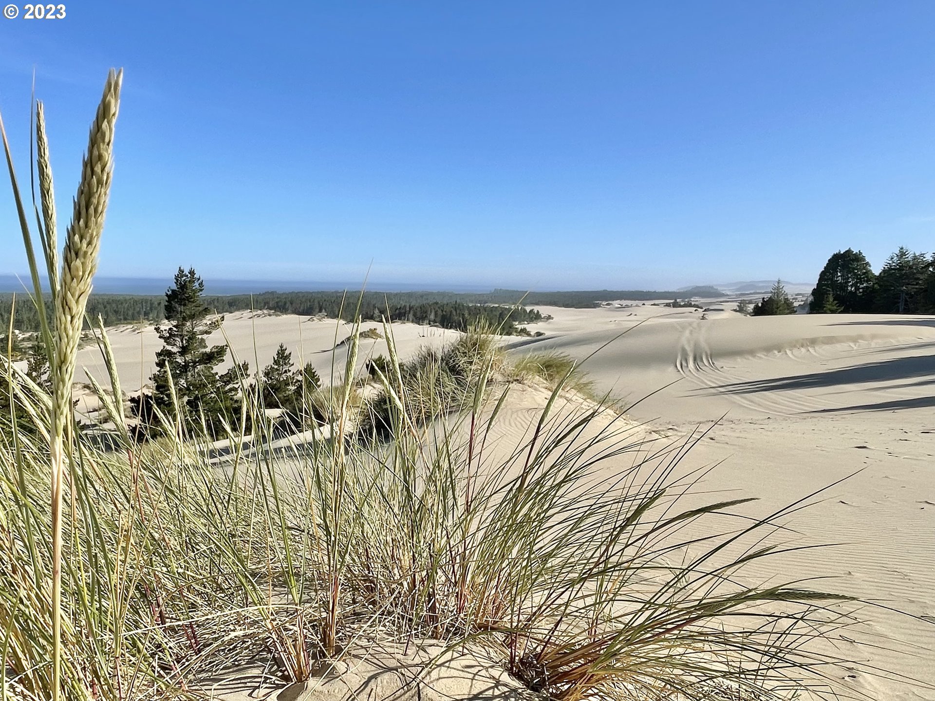 0 Clear Lake North Bend, OR 97459 - Photo 6 of 41 a view of a swimming pool and an ocean