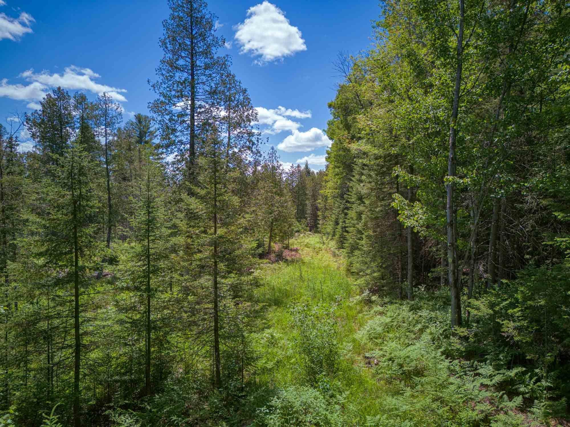 Off Chippewa Drive Rhinelander, WI 54501 - Photo 12 of 16 Gallery Image 12