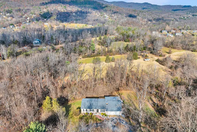 a view of a back yard