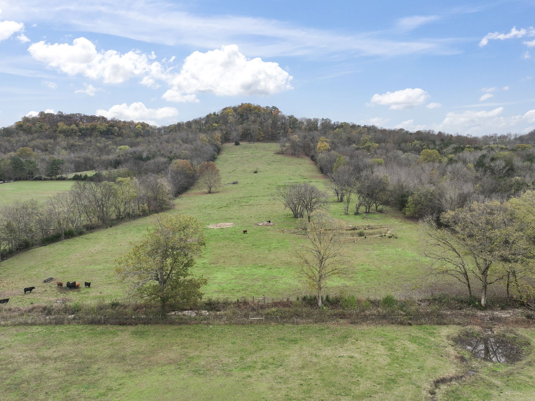 168 Wilburn Hollow Road Riddleton, TN 37151 - Photo 8 of 42