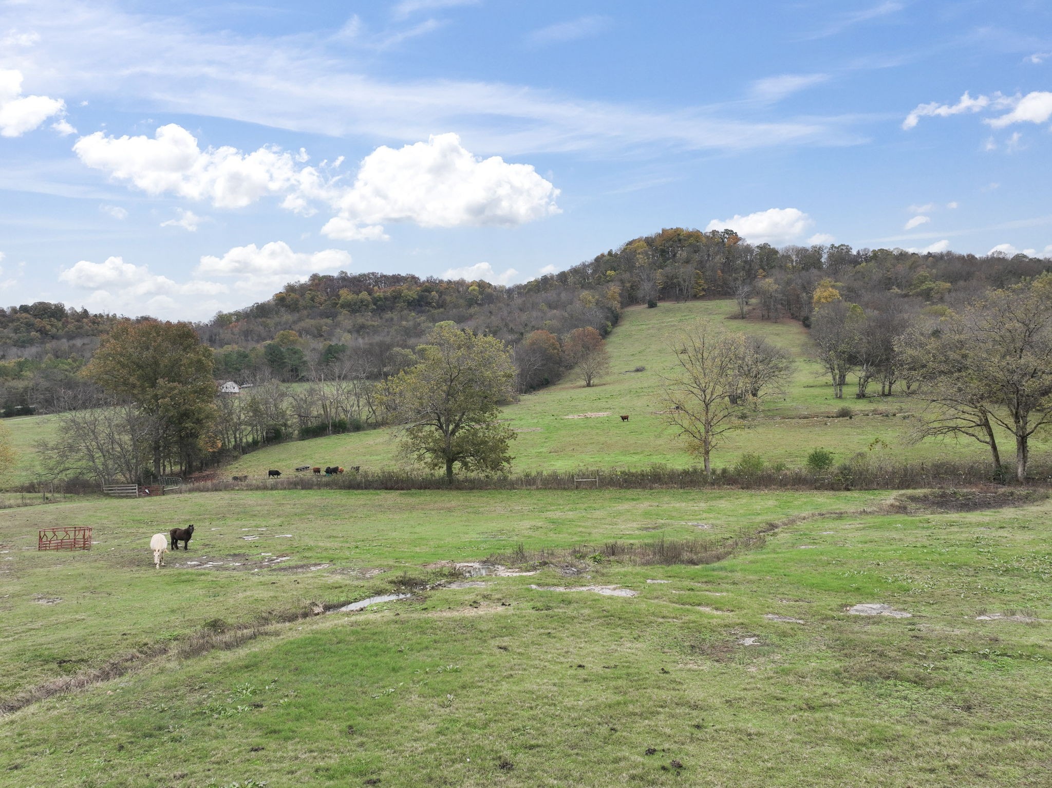 168 Wilburn Hollow Road Riddleton, TN 37151 - Photo 9 of 42