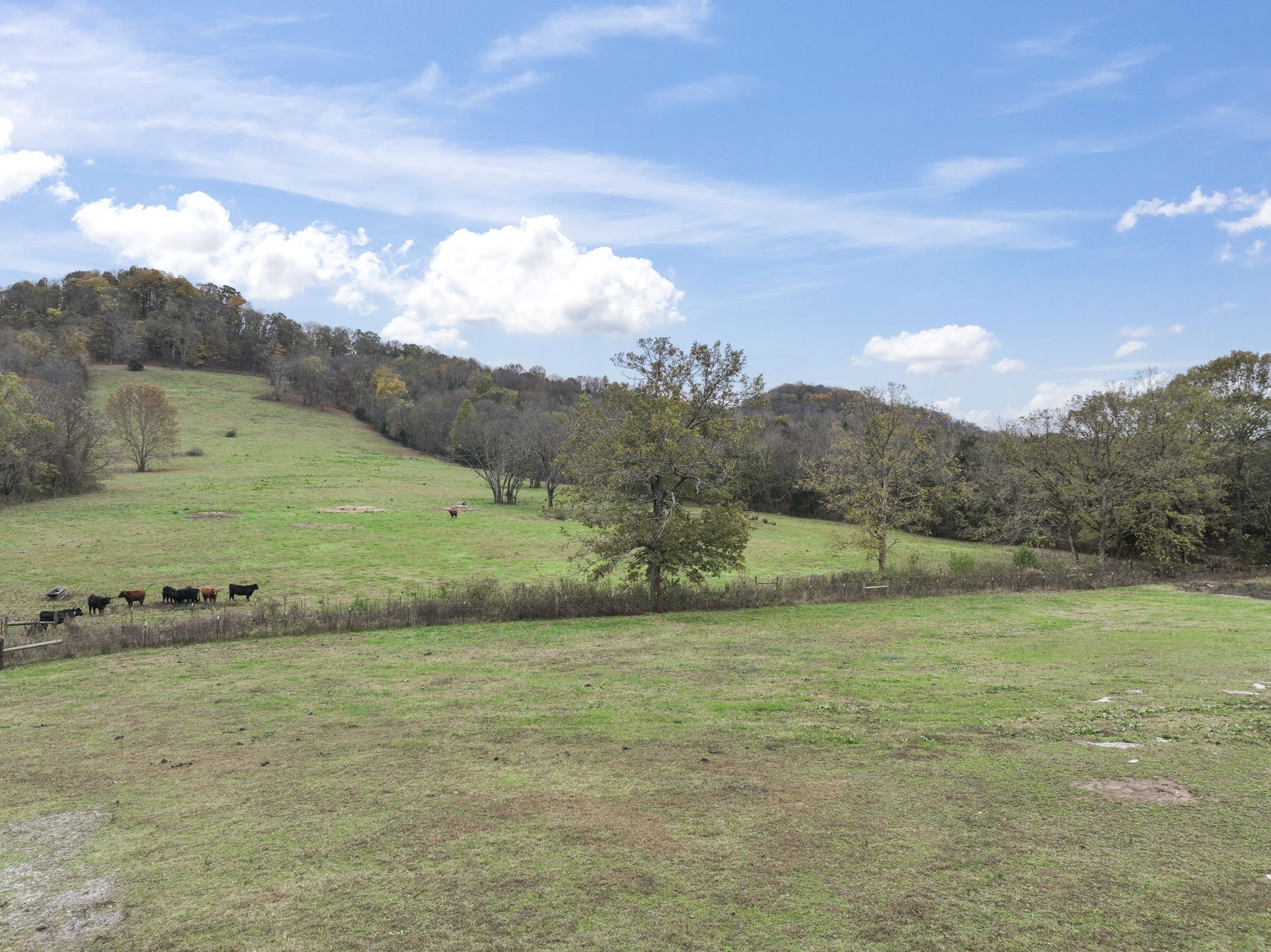 168 Wilburn Hollow Road Riddleton, TN 37151 - Photo 10 of 42