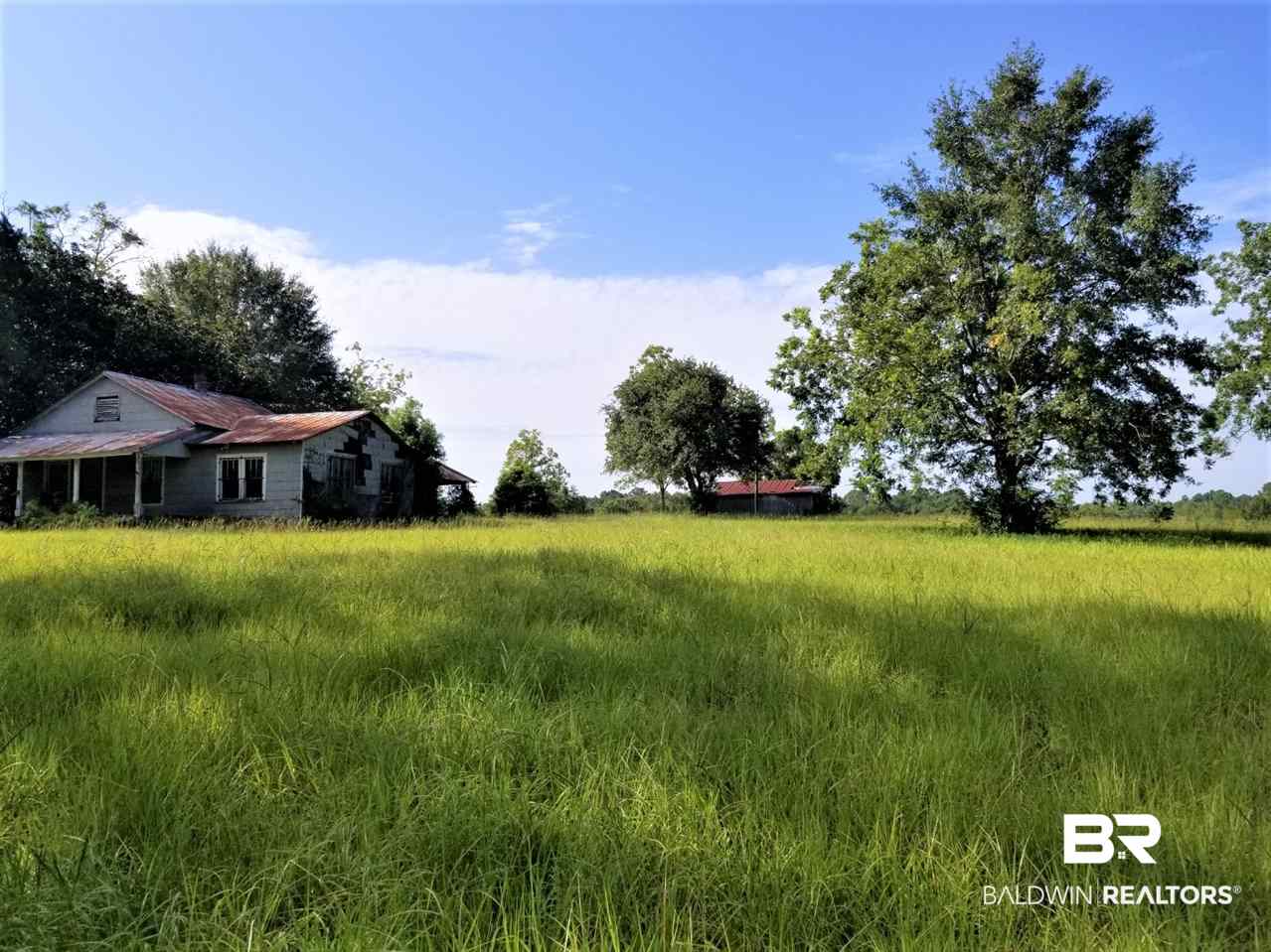 14760 County Road 64 Loxley, AL 36551 - Photo 5 of 19