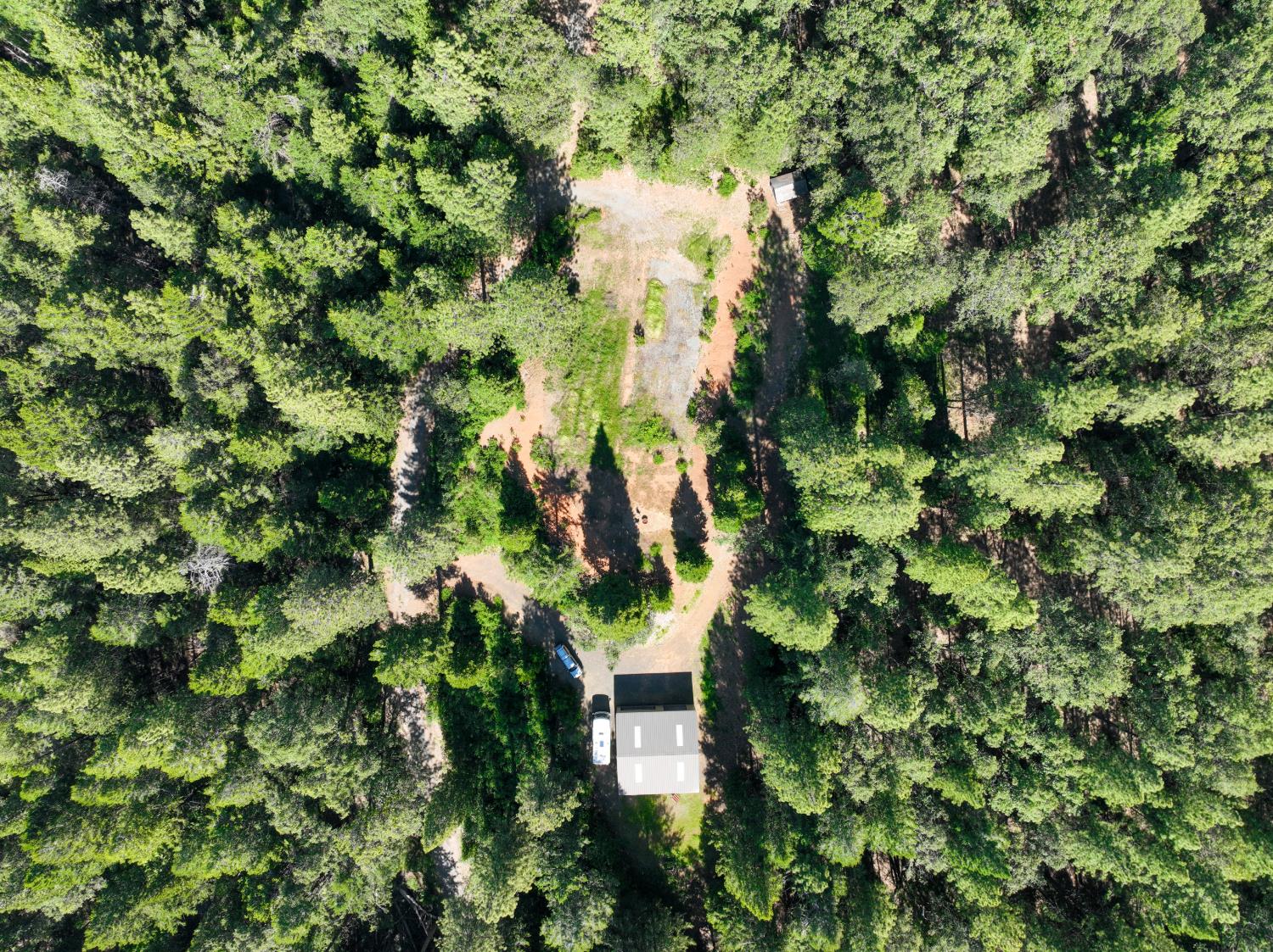 30220 Magra Road Gold Run, CA 95717 - Photo 12 of 51