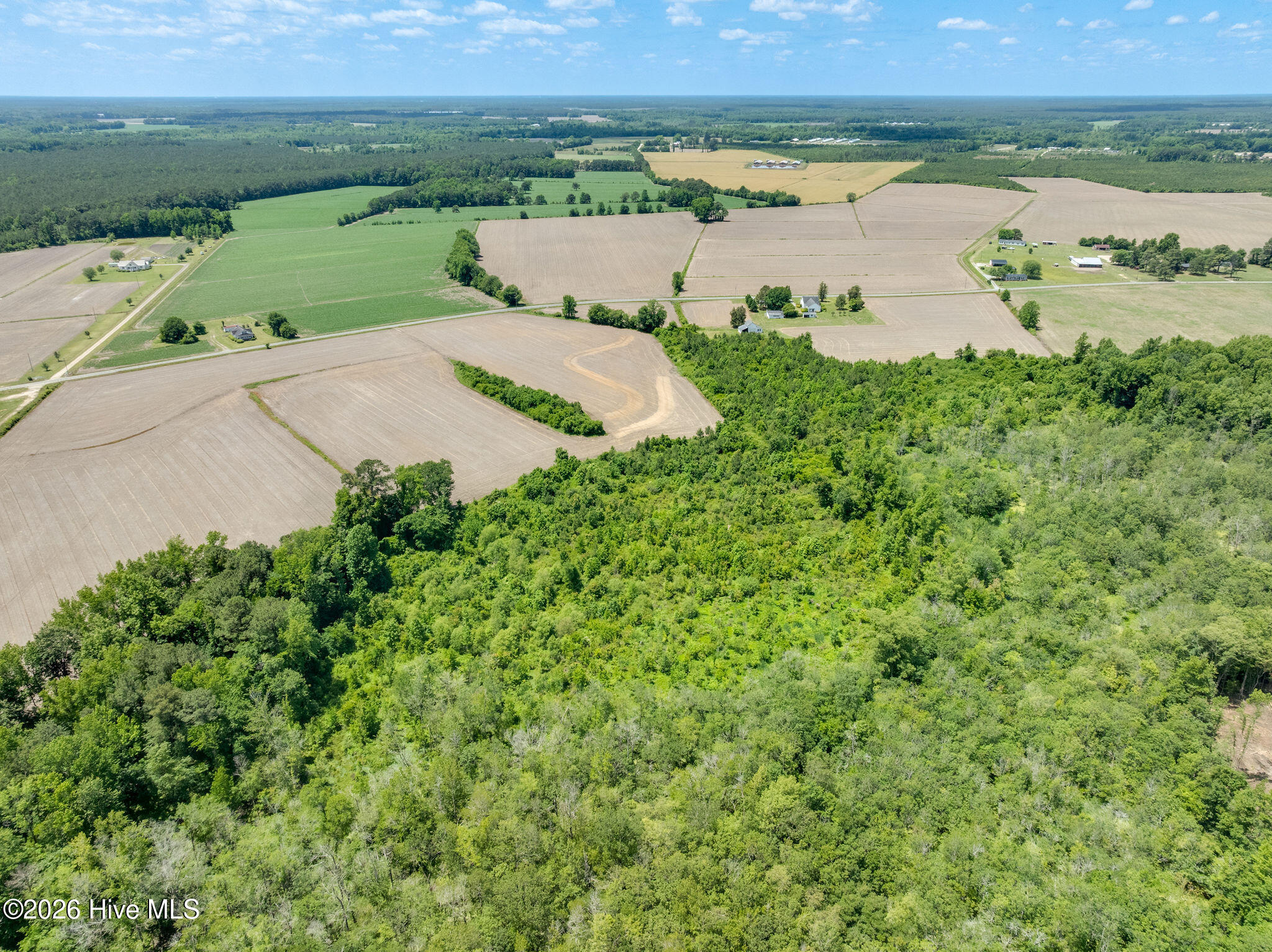1352 Cornwallis Road Rose Hill, NC 28458 - Photo 41 of 42