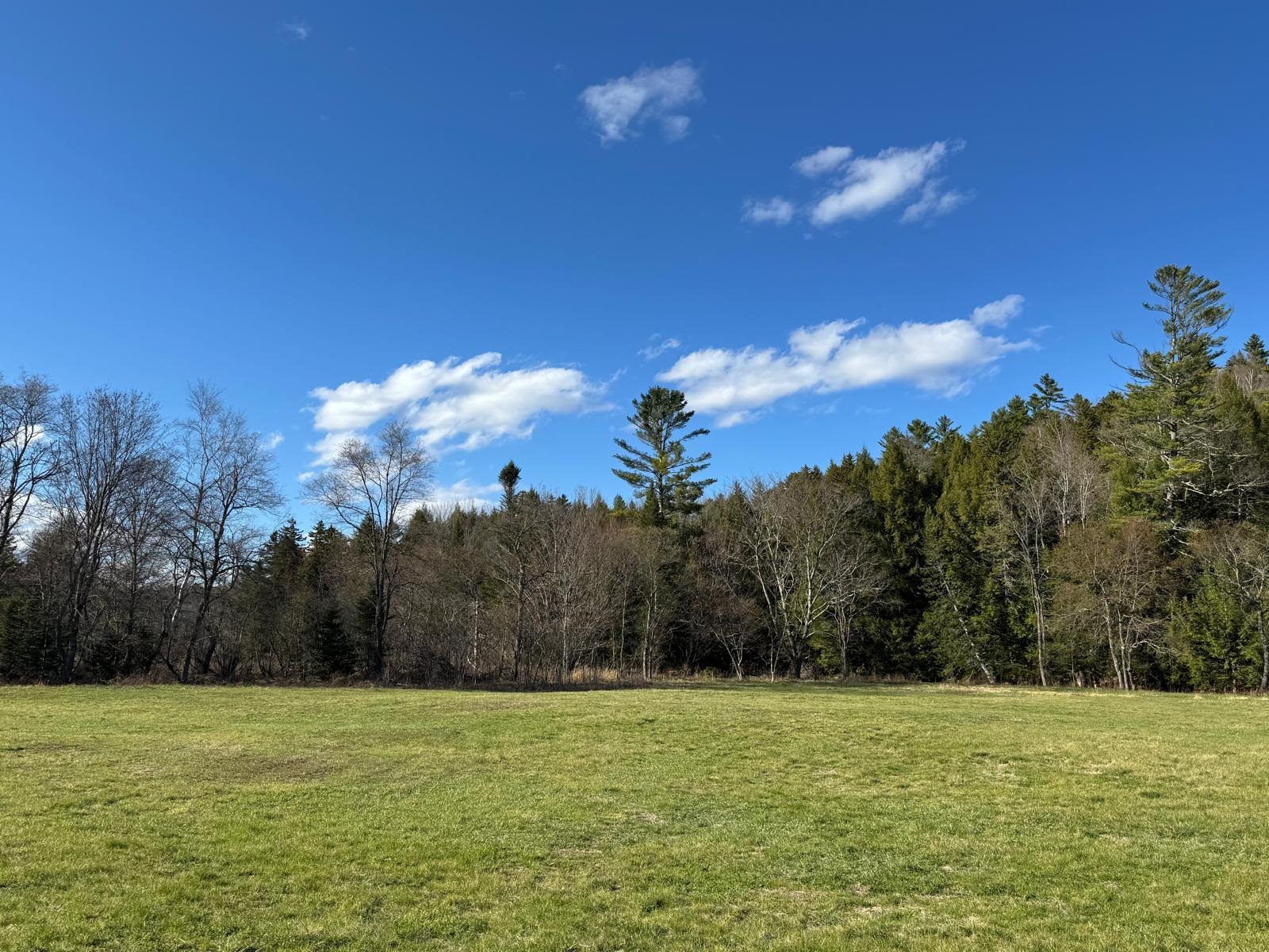 446 Walker Brook Road Danbury, NH 03230 - Photo 34 of 54