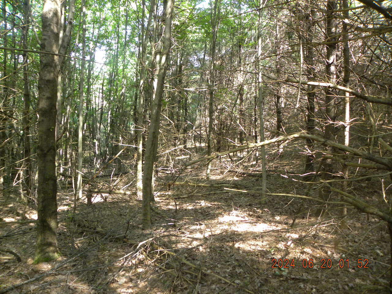 Tbd Gore Road Alfred, ME 04002 - Photo 6 of 33 DSCN9151