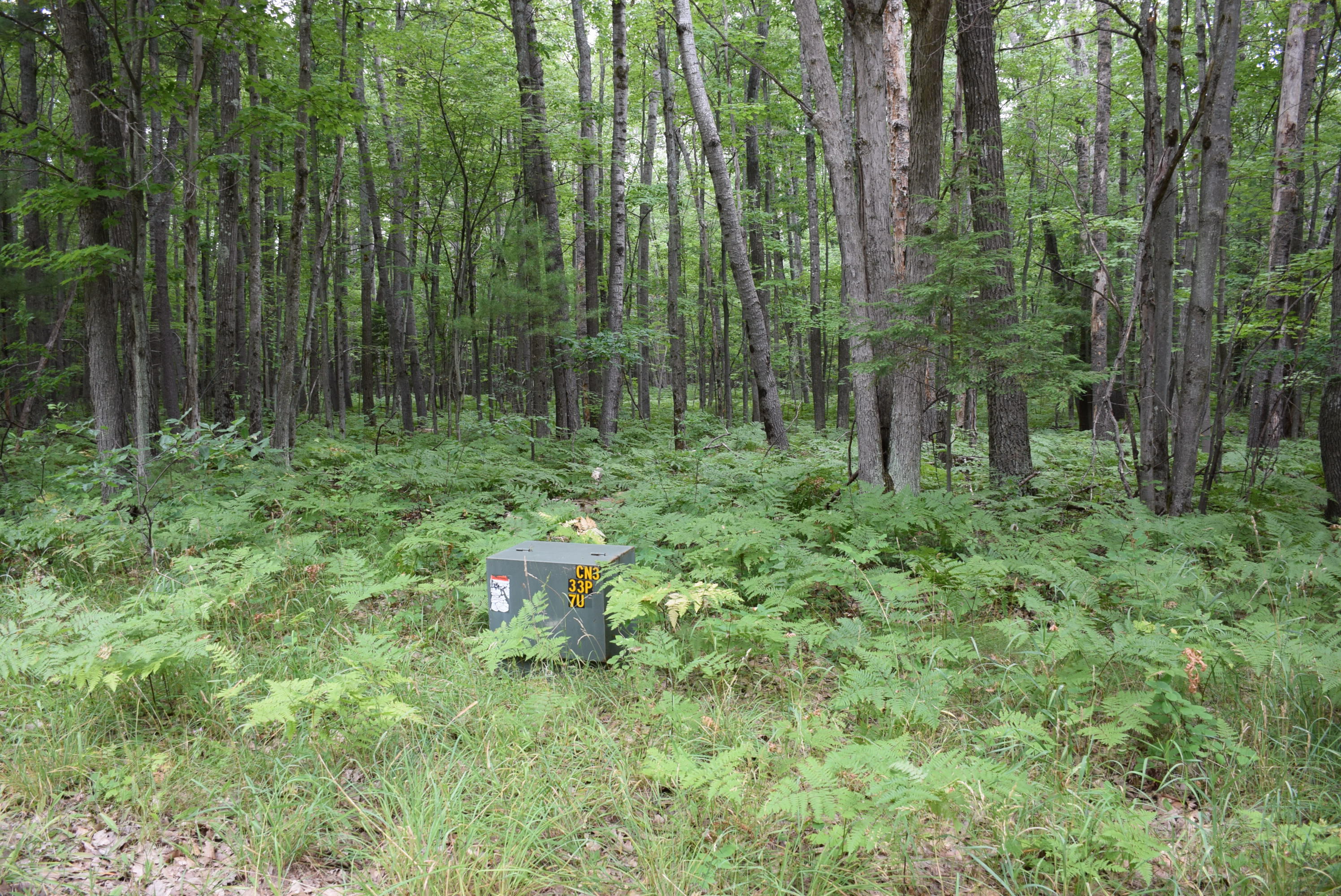 West Numbers Road Indian River, MI 49749 - Photo 8 of 12 Gallery Image 8