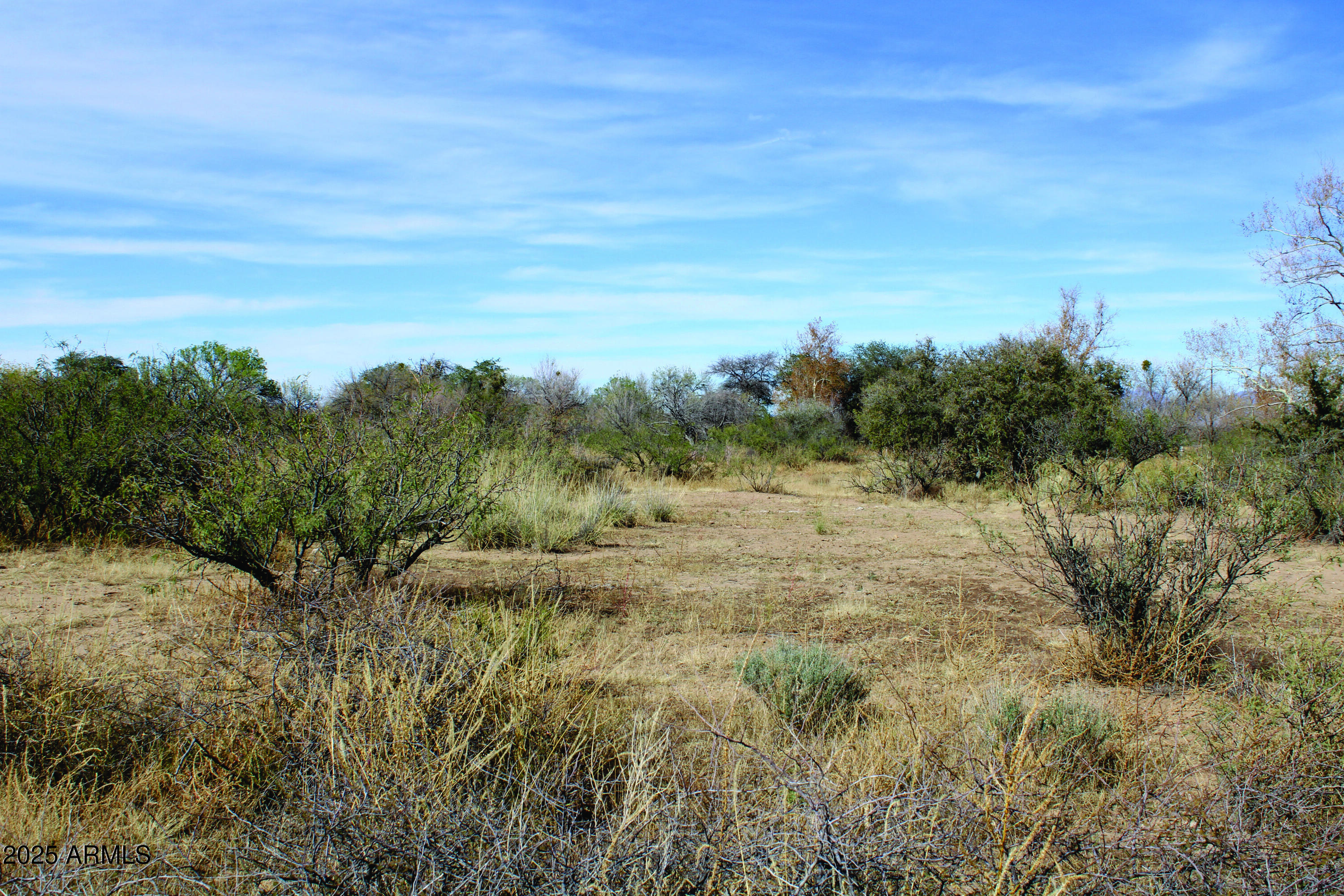10-acres East Roadrunner Road Pearce, AZ 85625 - Photo 31 of 37 IMG_0806.JPG