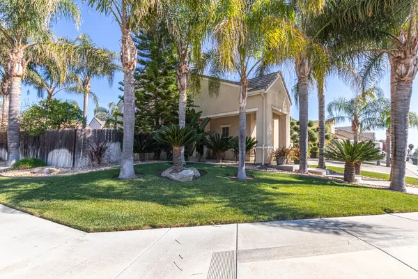 a view of a park with palm trees